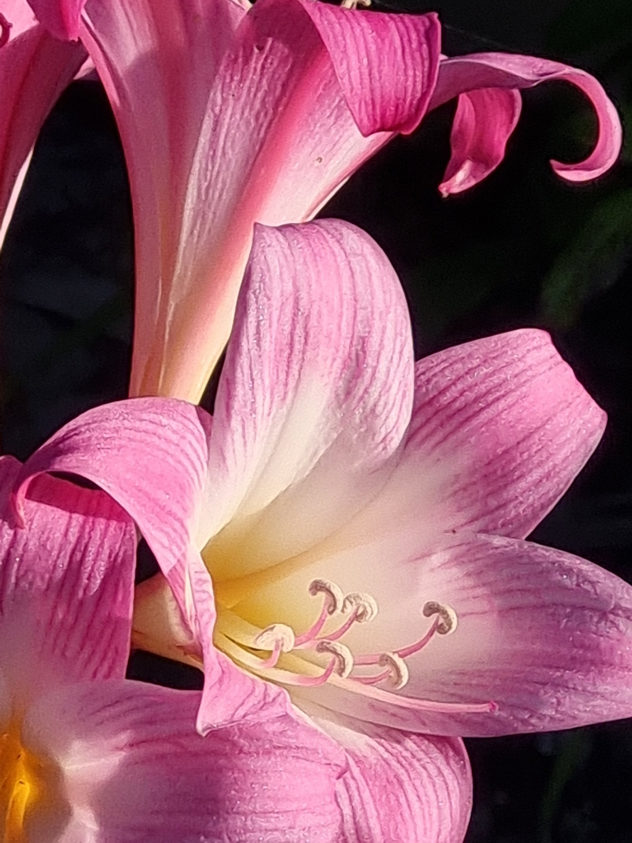 Deteriorating services