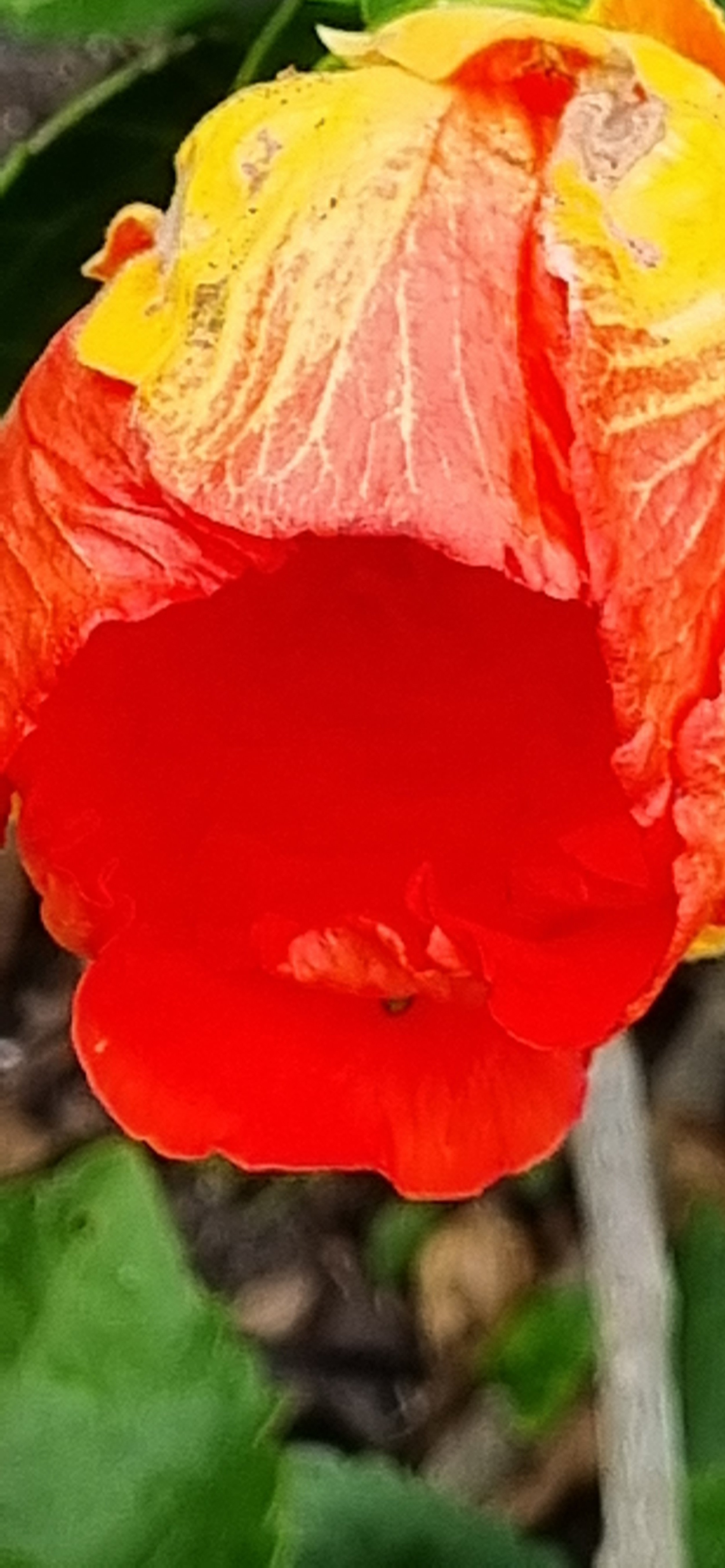 Good night’s sleep