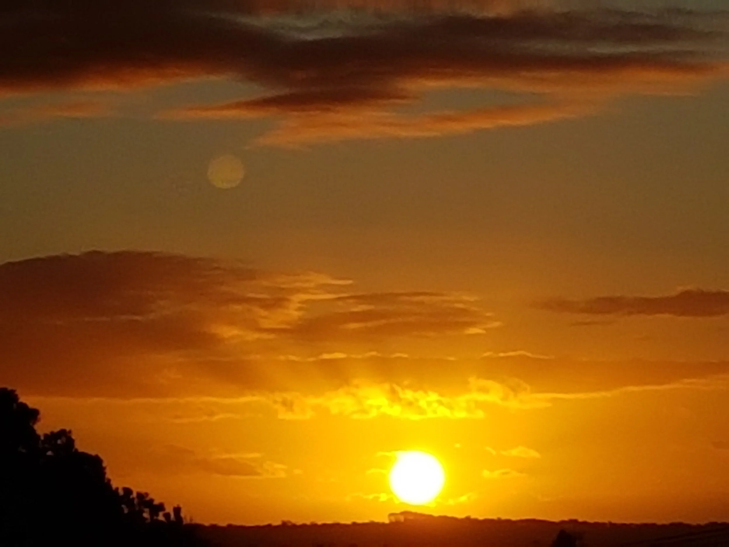 More sorting and memories