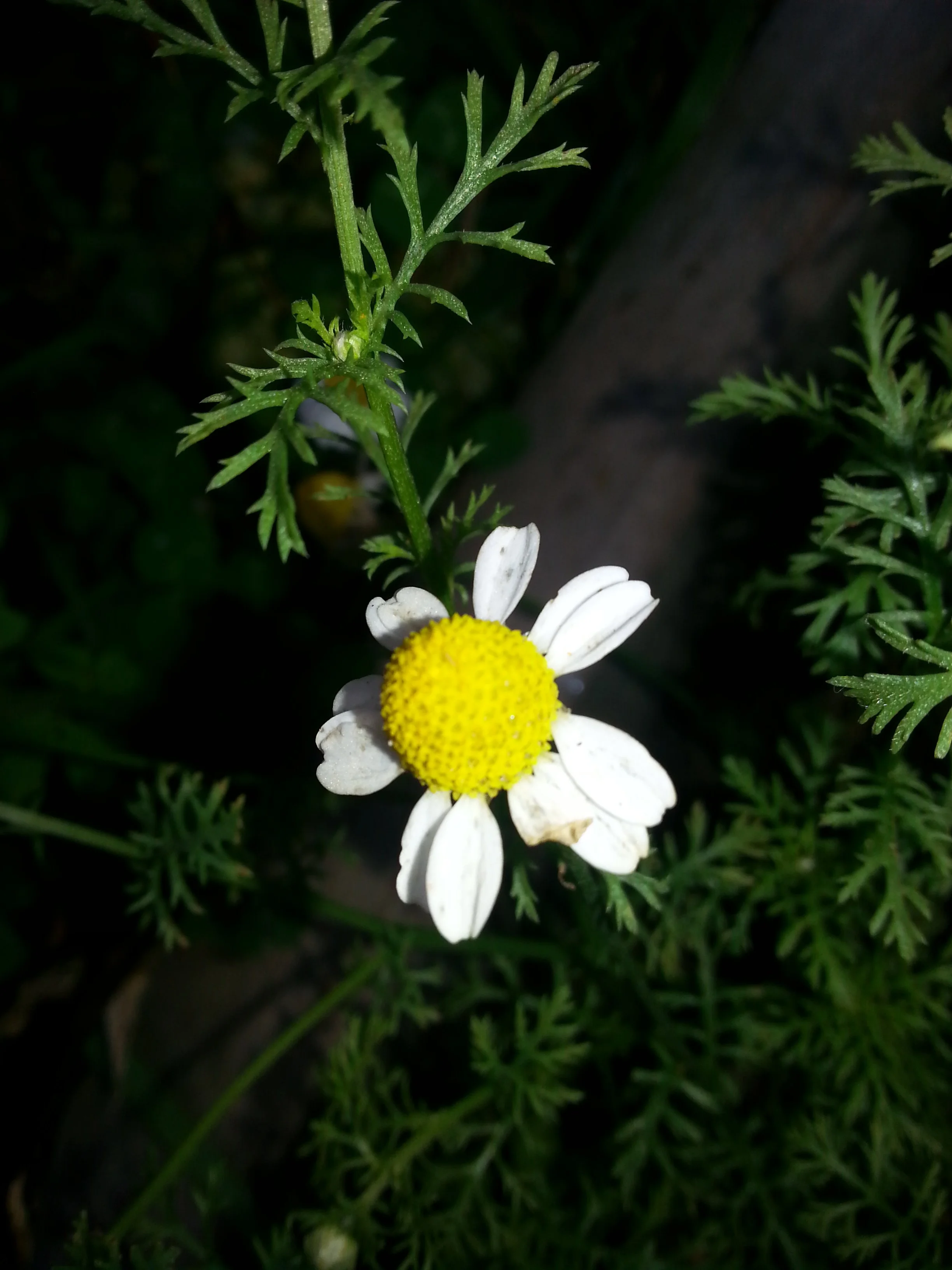 Gremlins in the system