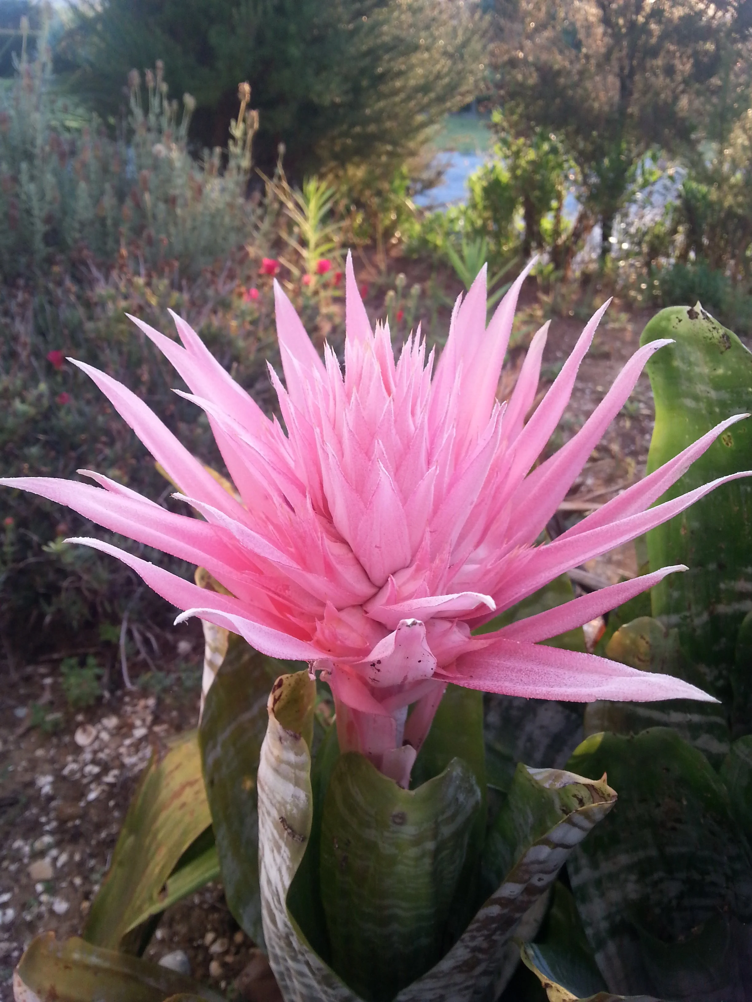 Spiritual encounters