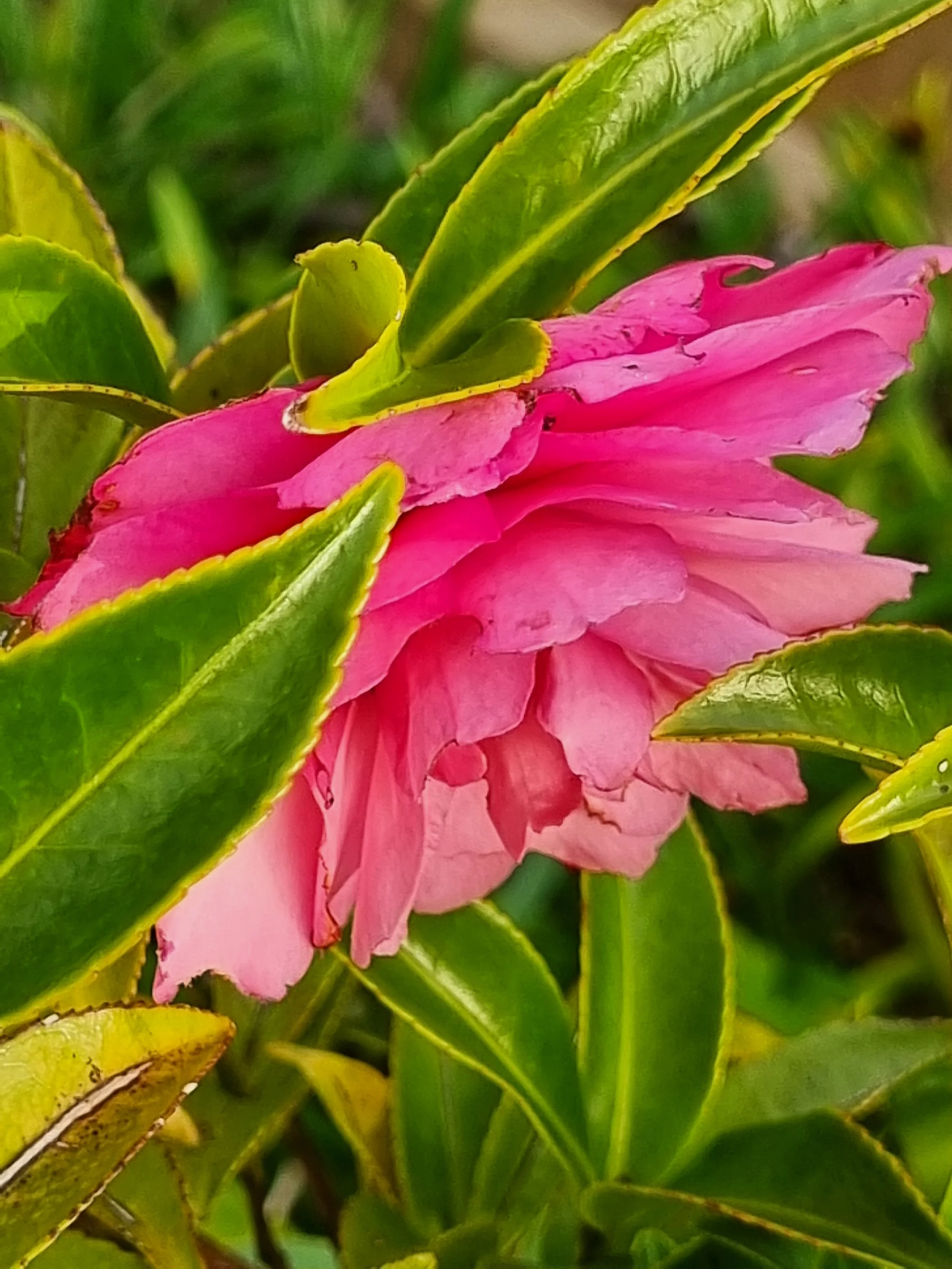 More meditative work