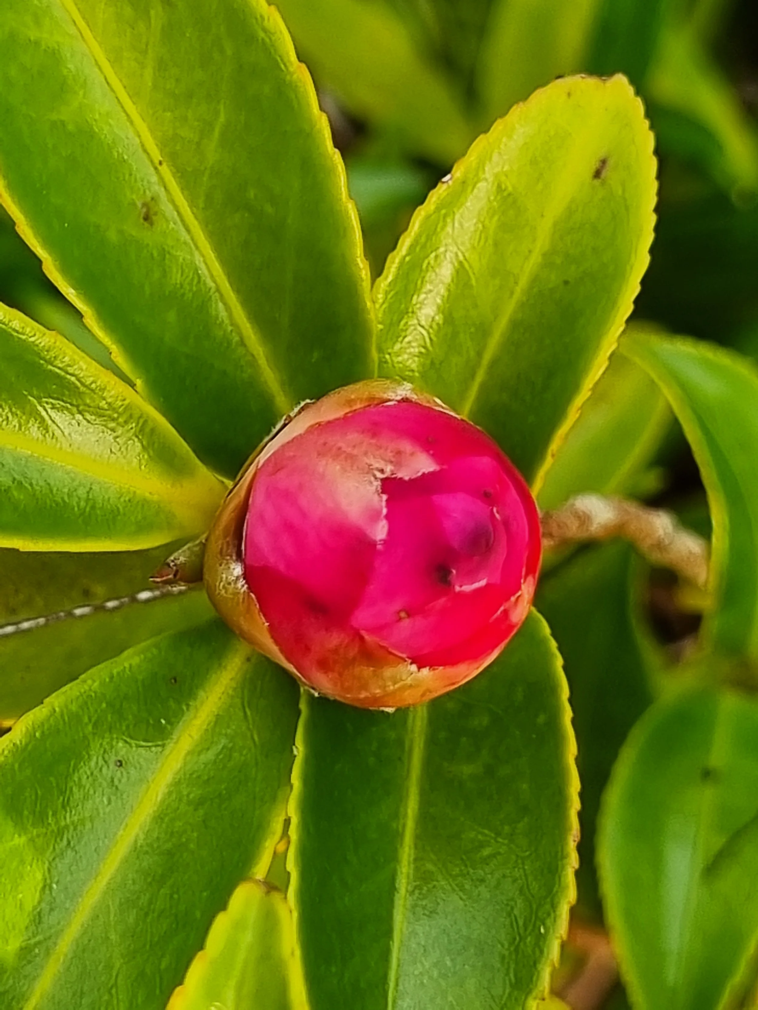 Hanging in the balance