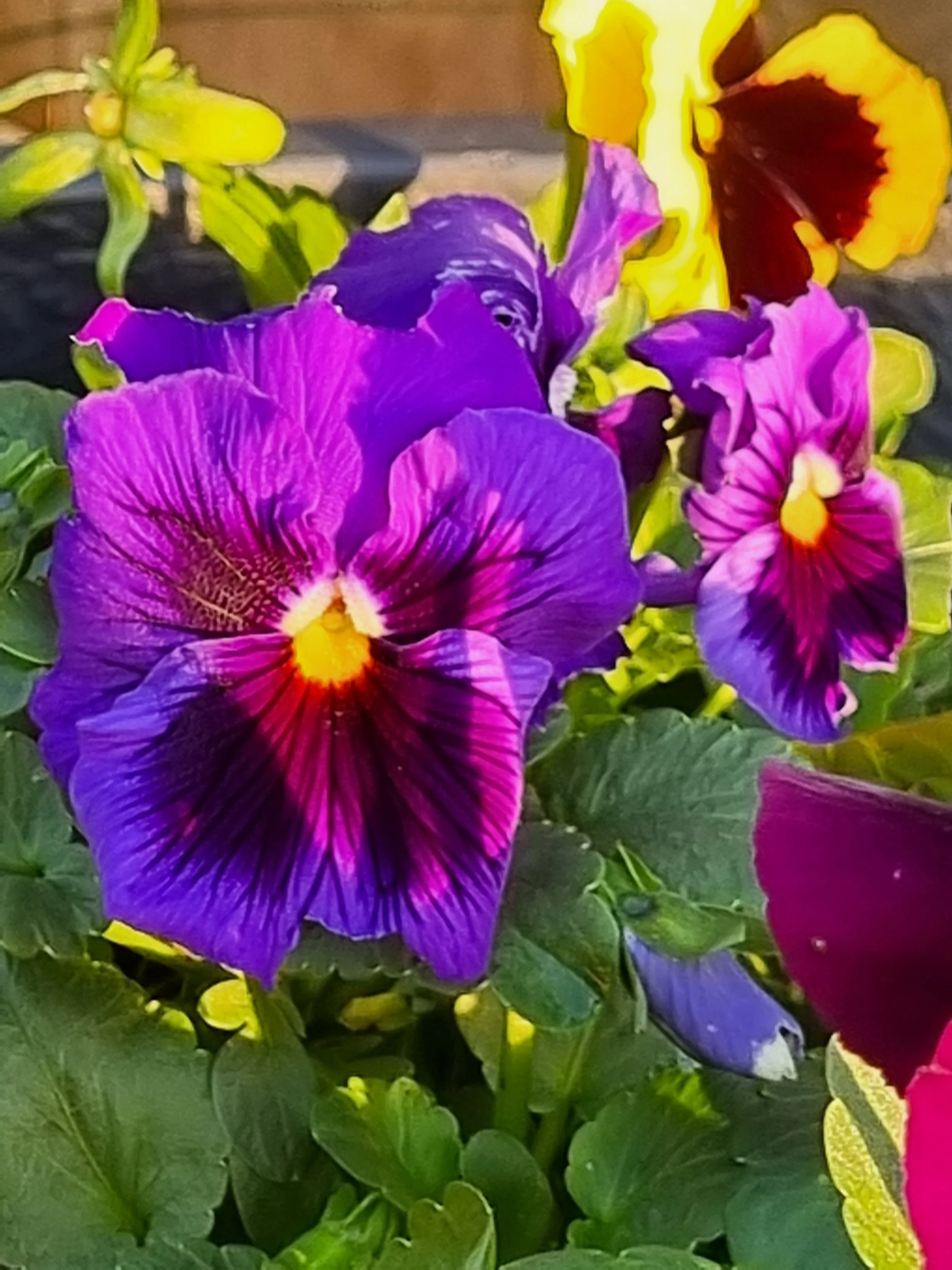 A day of ups and downs