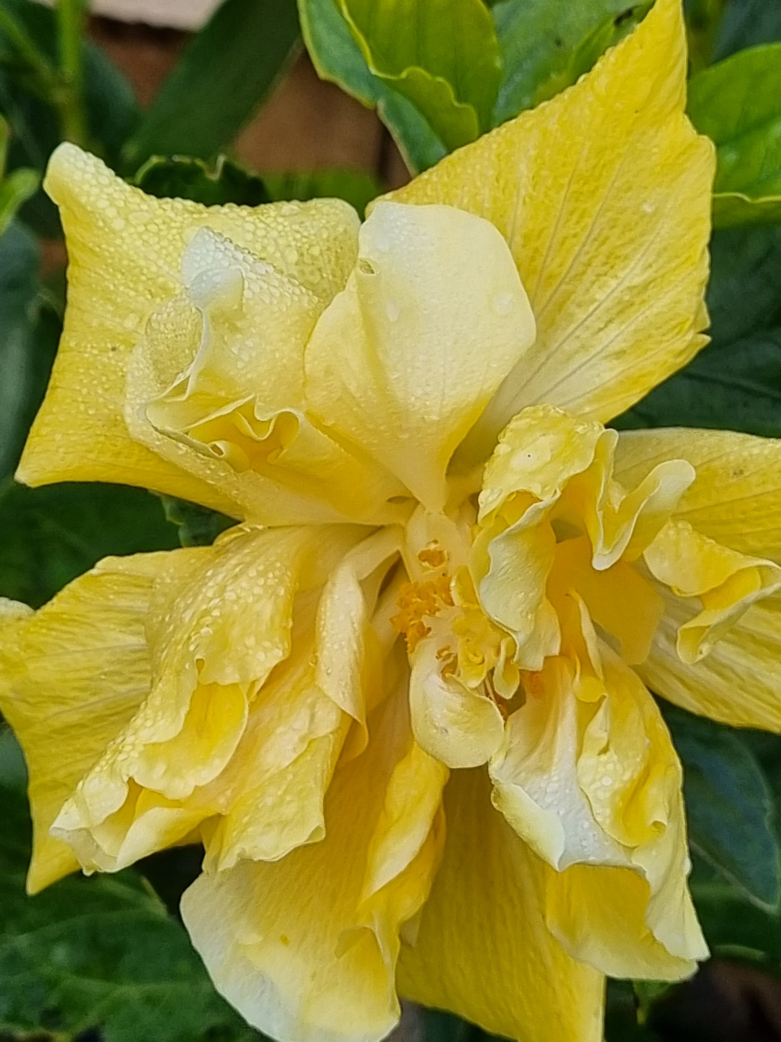 Love and forgiveness