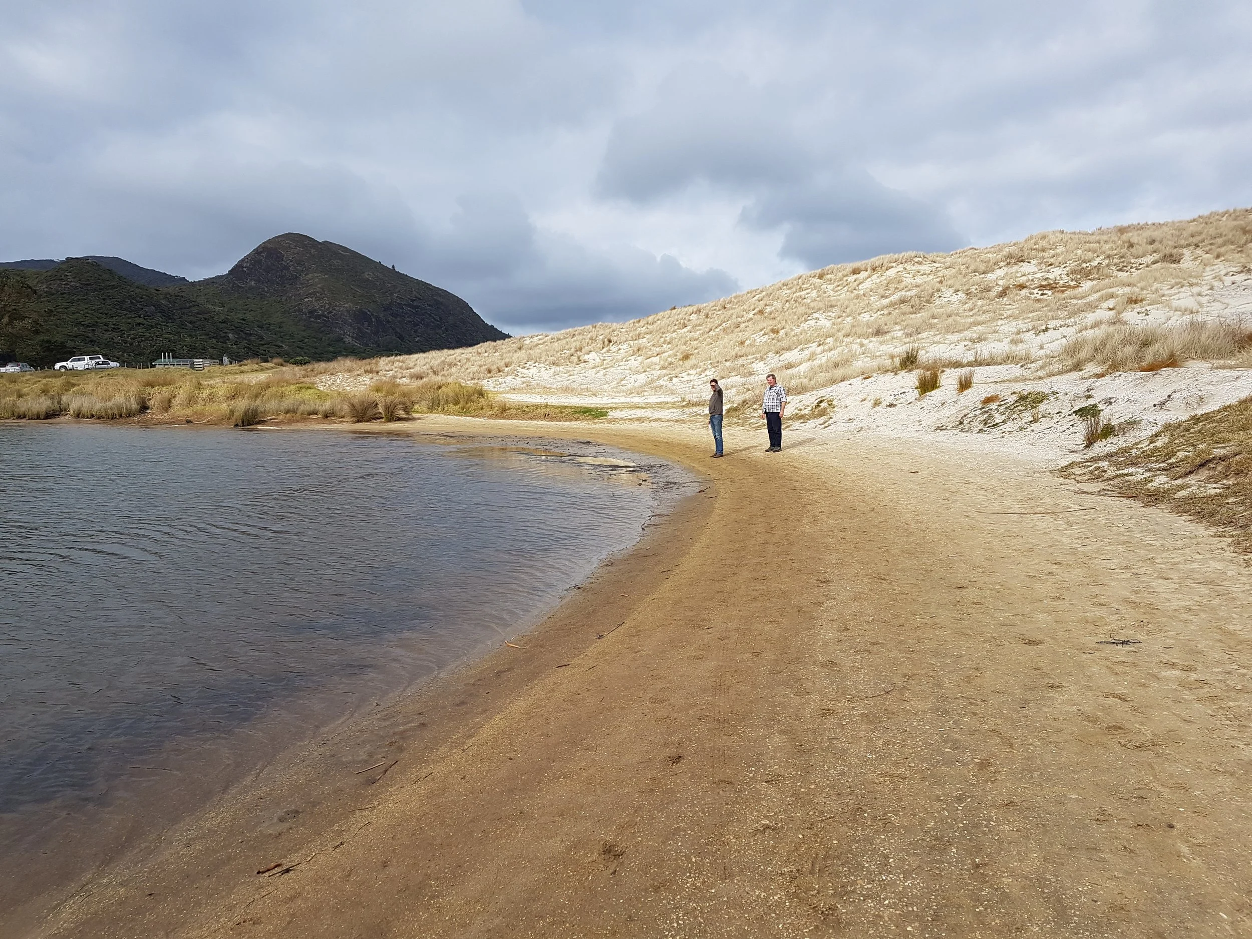 The synchronicity of synchronicity