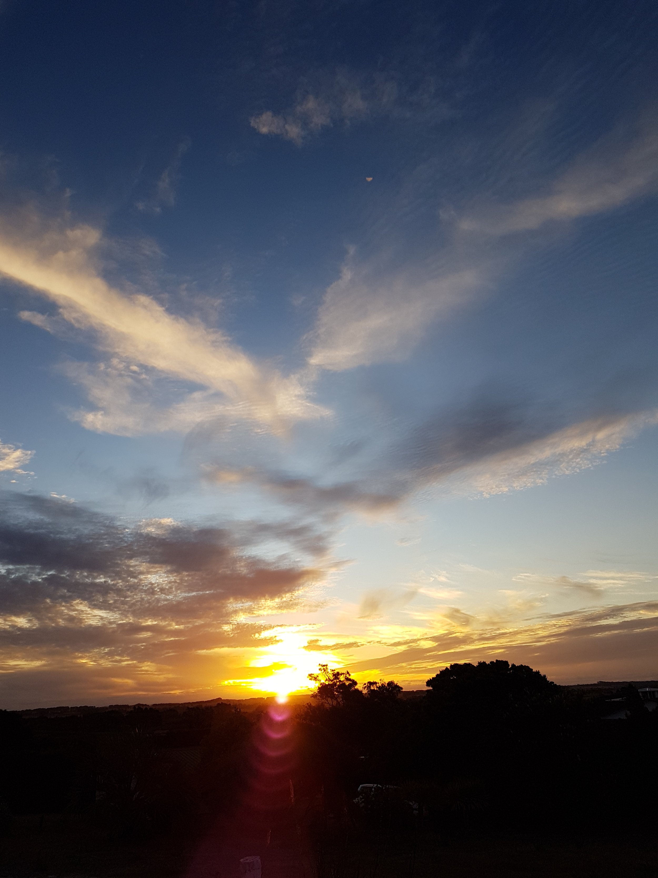 Distressing court cases