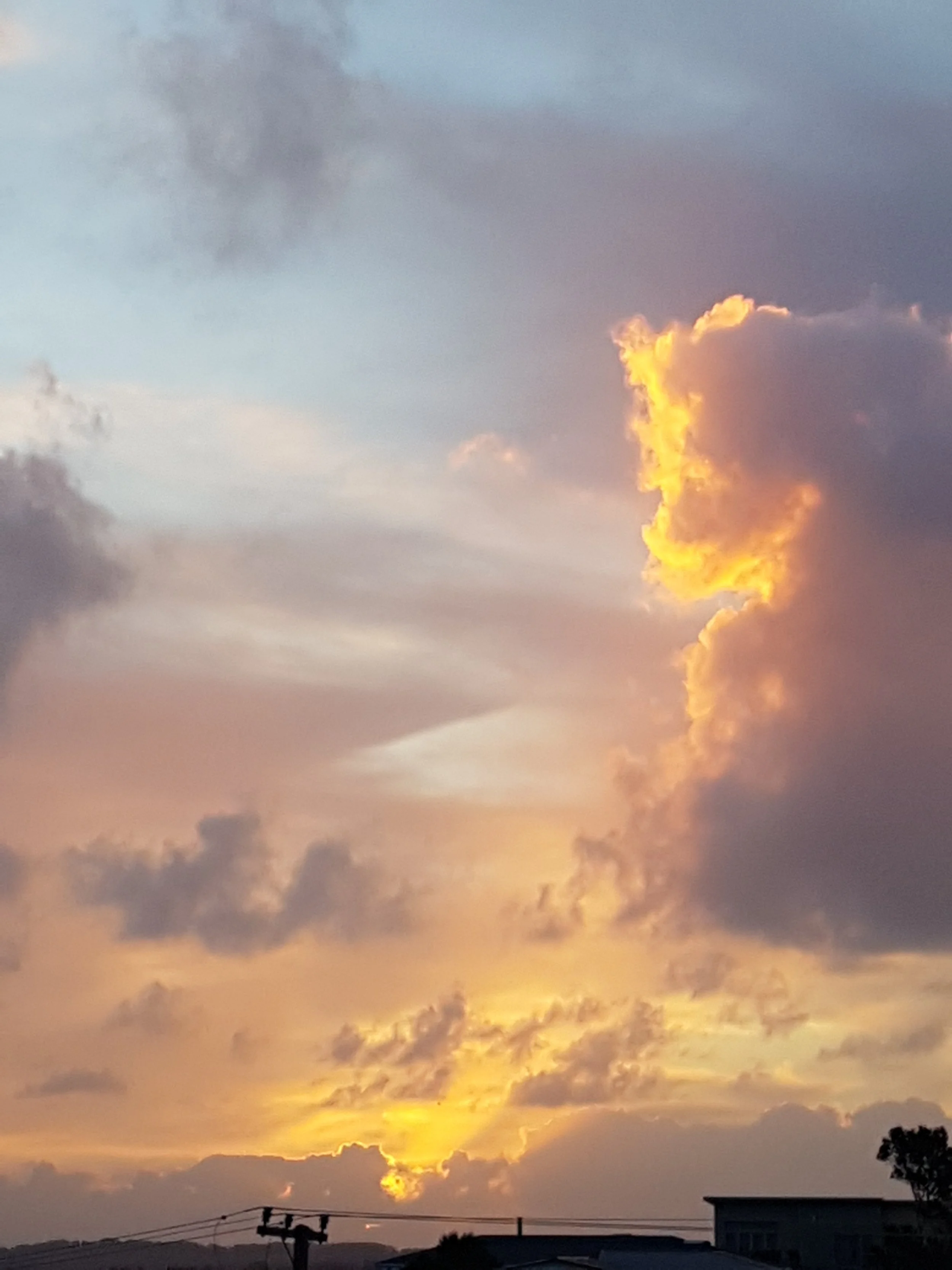 Second distressing court case