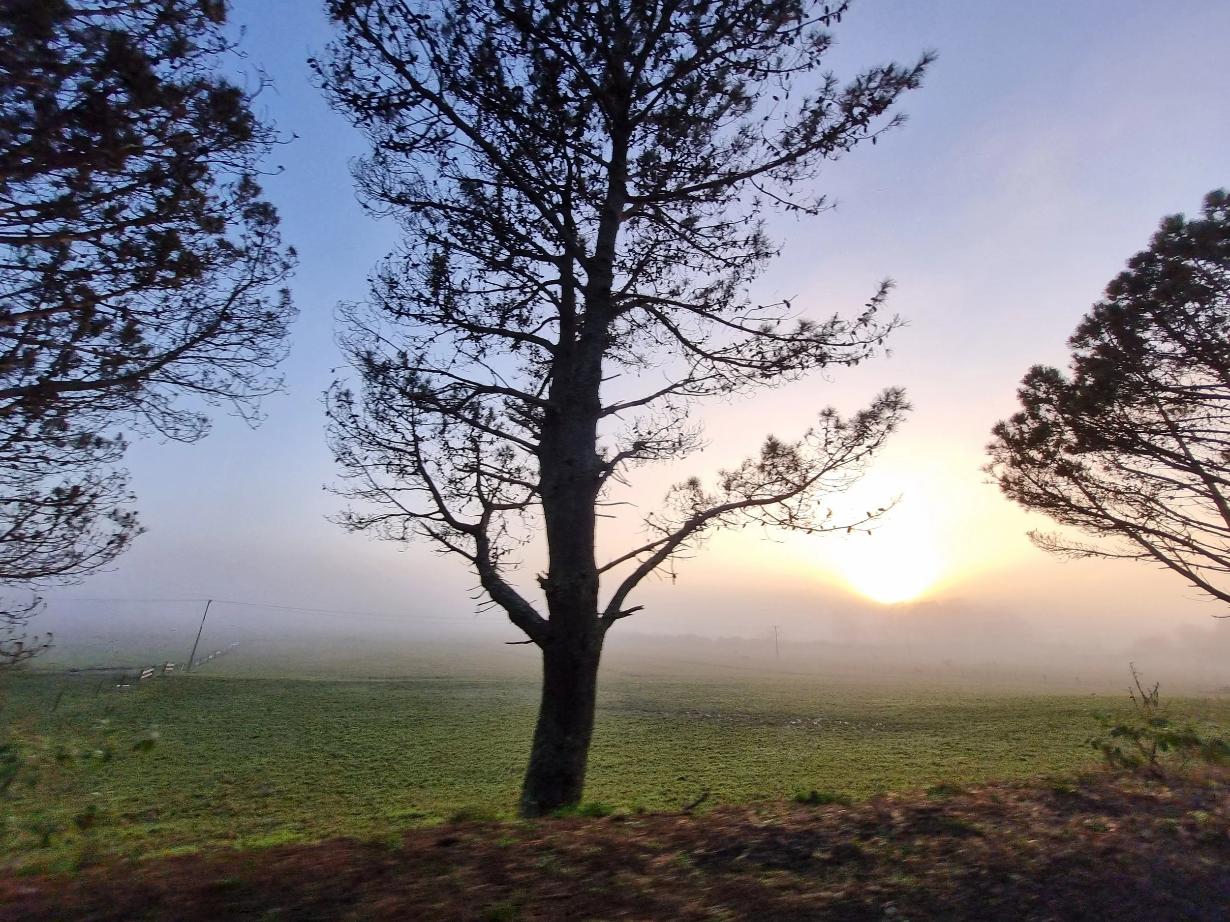 The pollution of noise