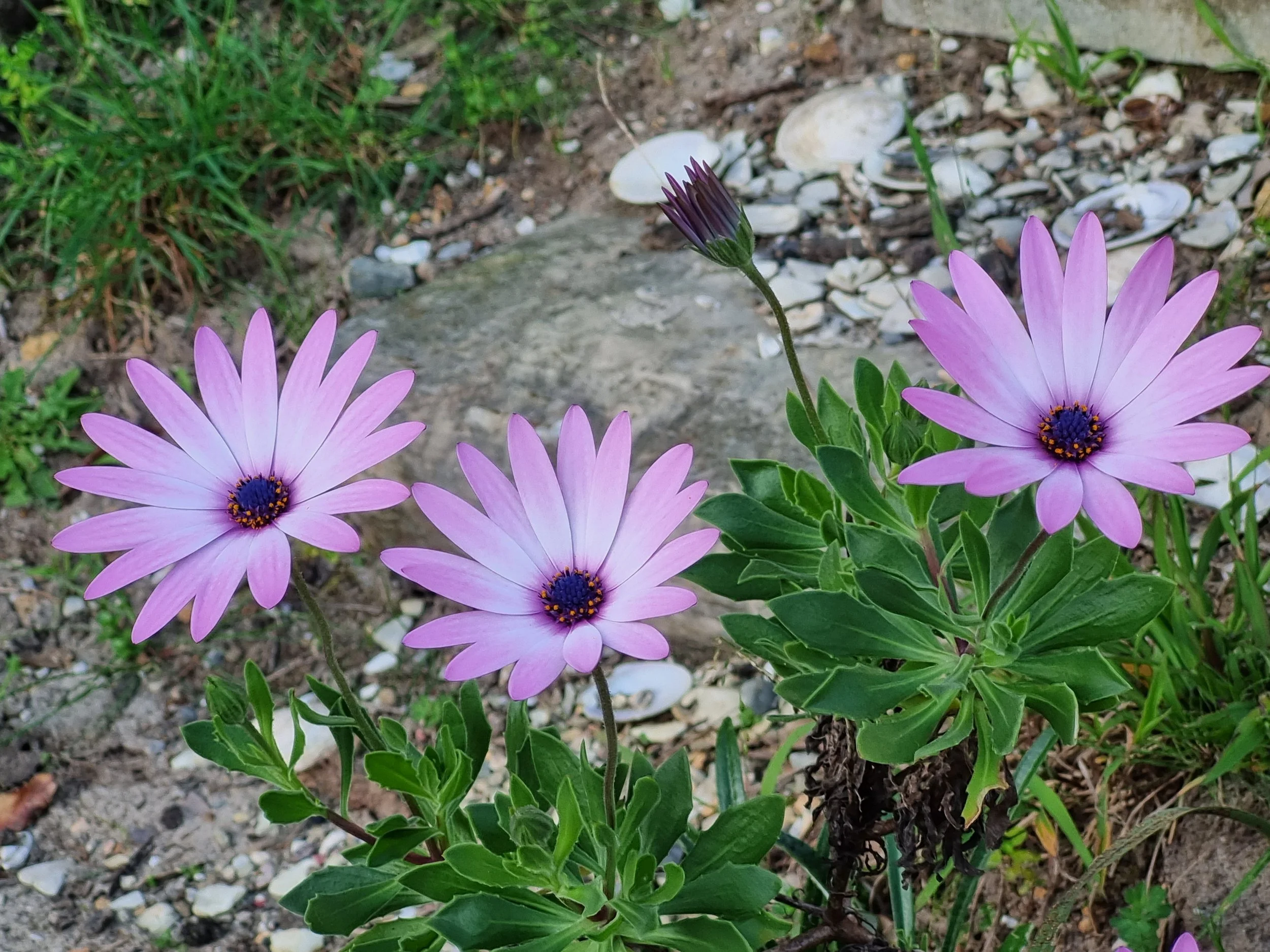 Different learning styles