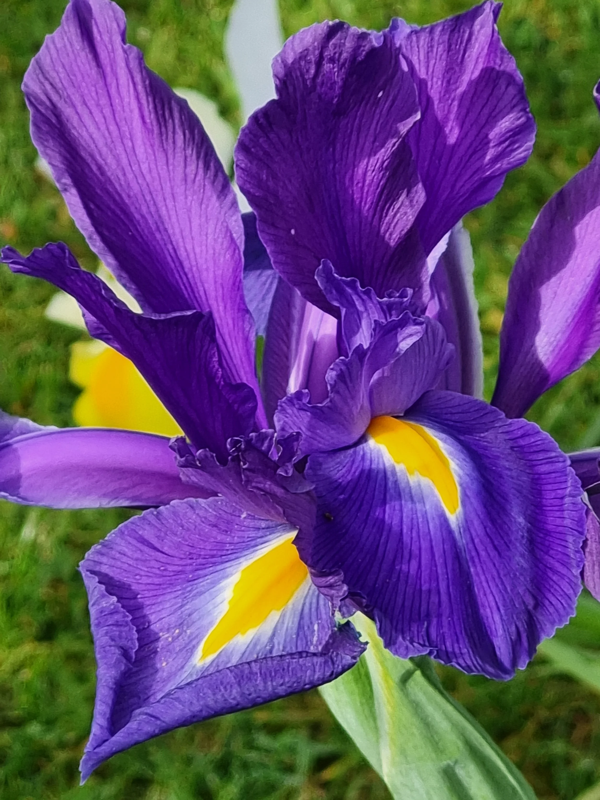 Horrors of the world