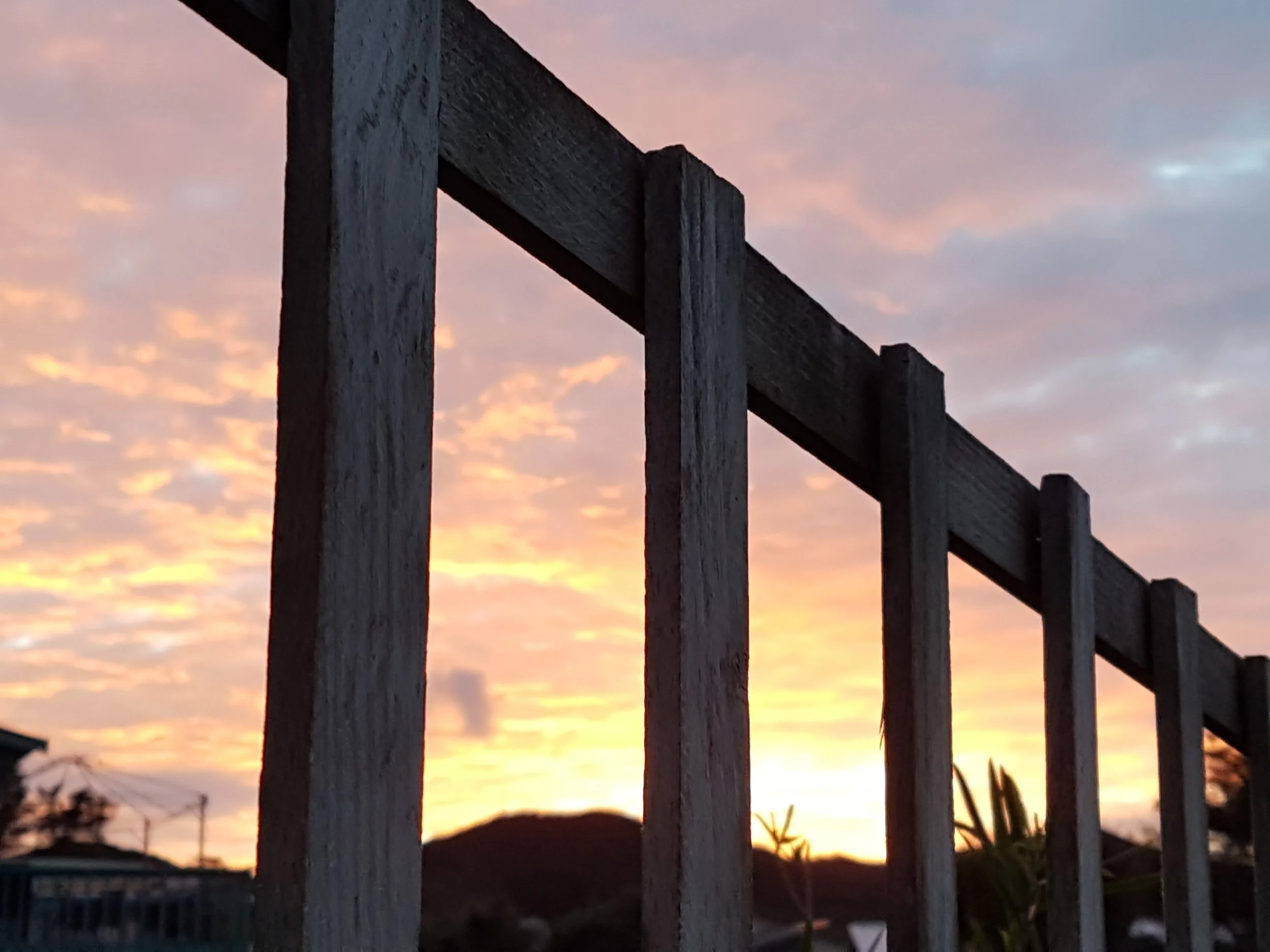 Trust what you are shown