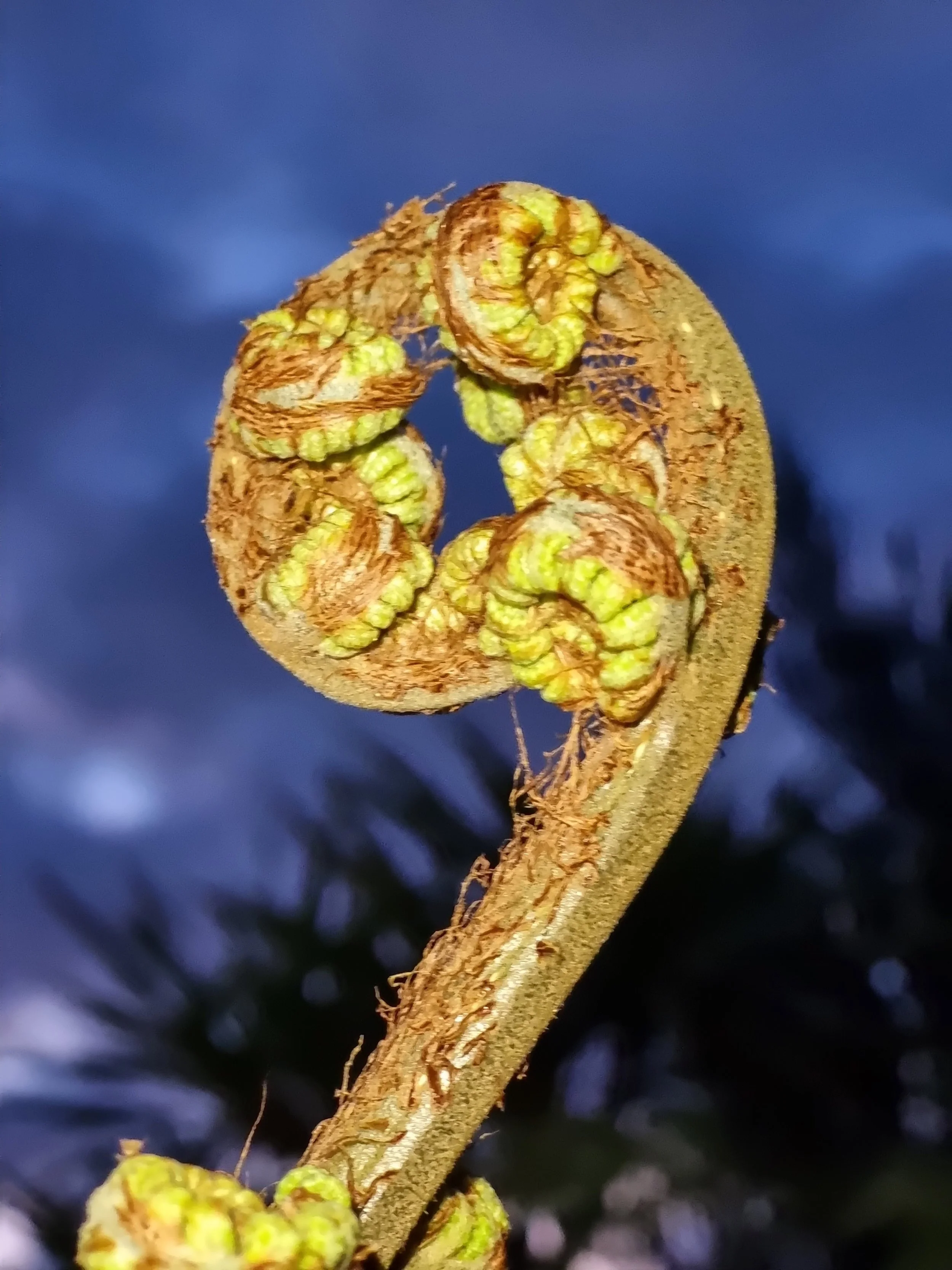 It is how bad they can be when they’re bad