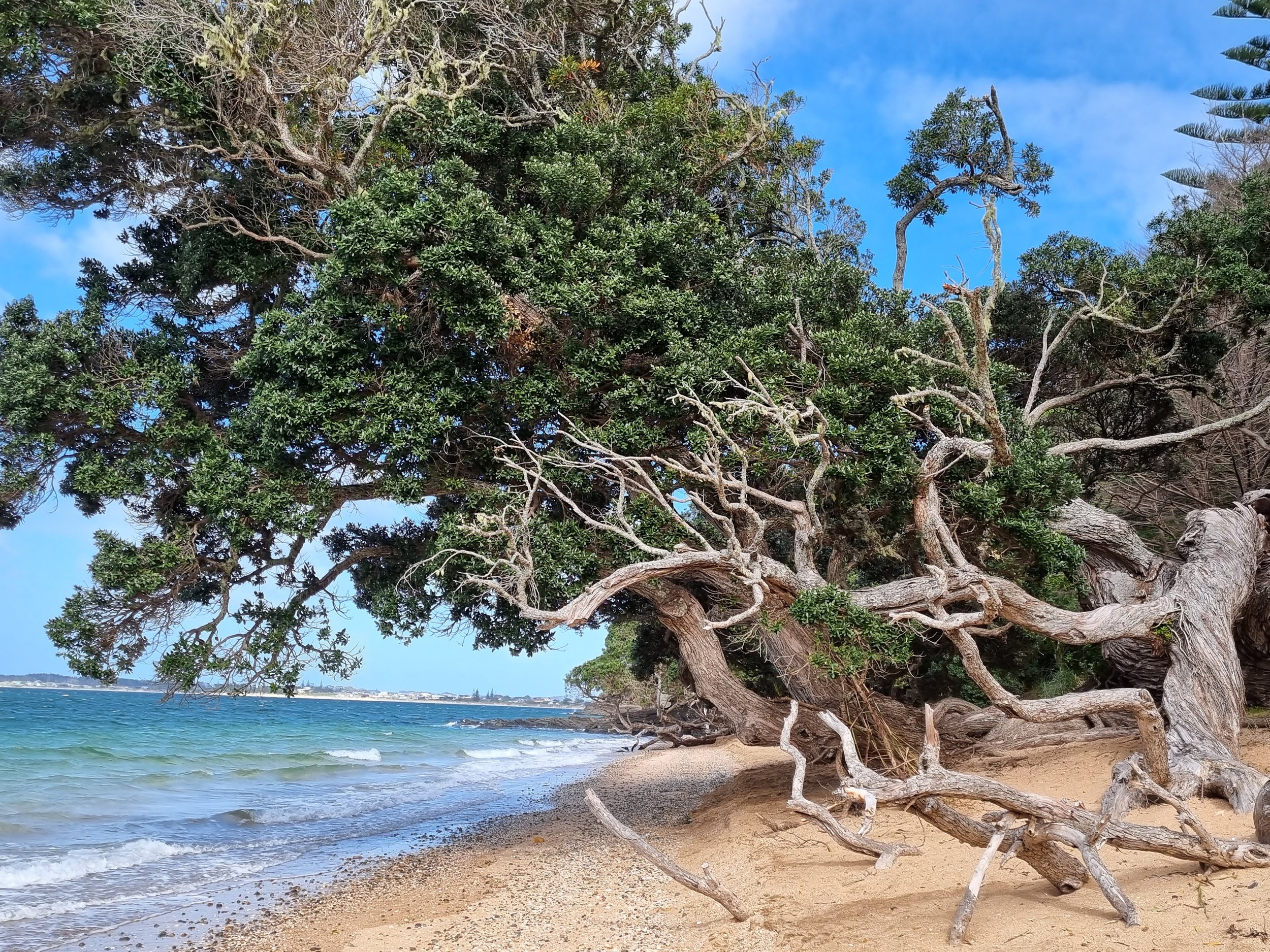 Another one bites the dust