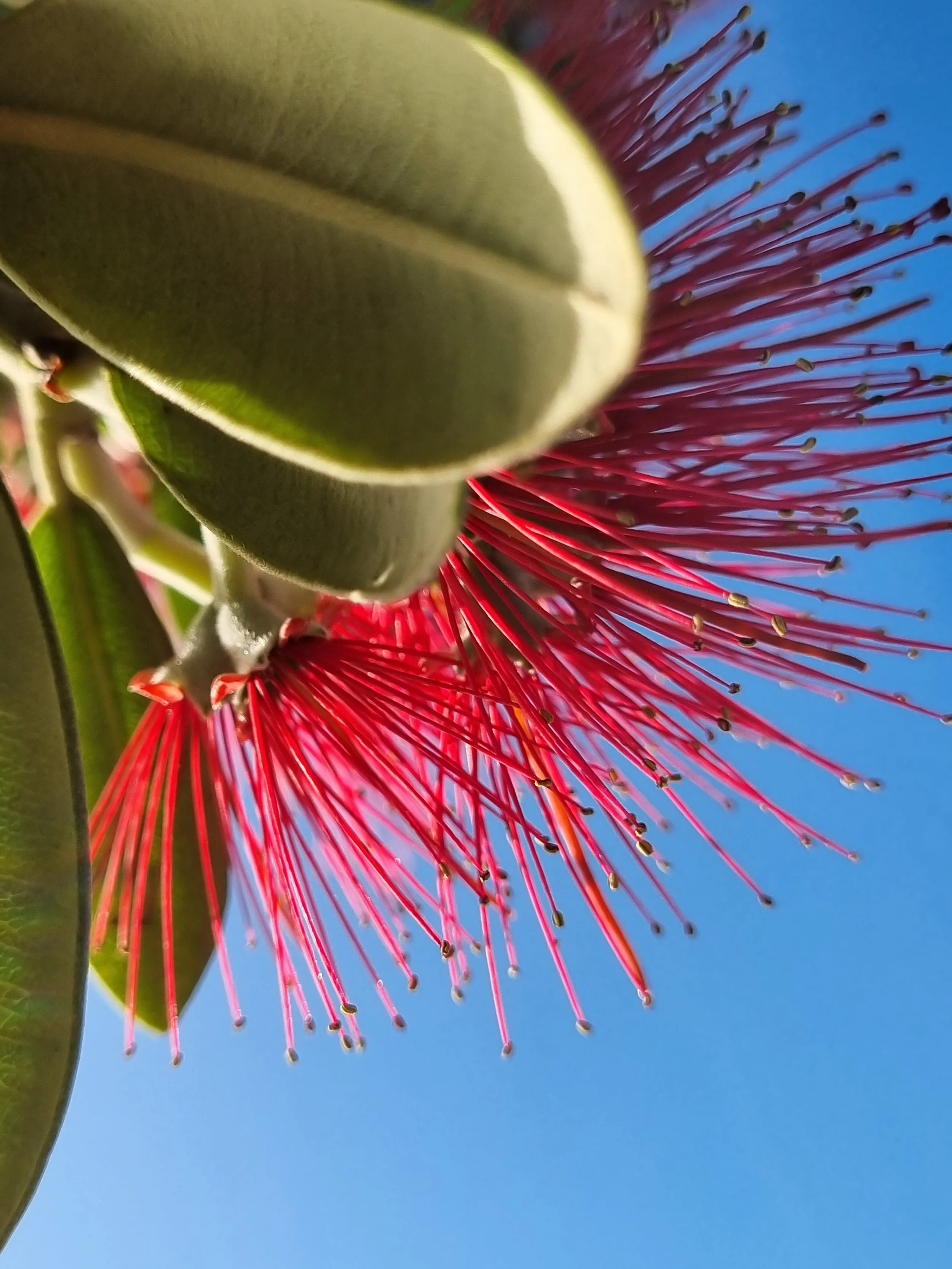 Some things are meant to be