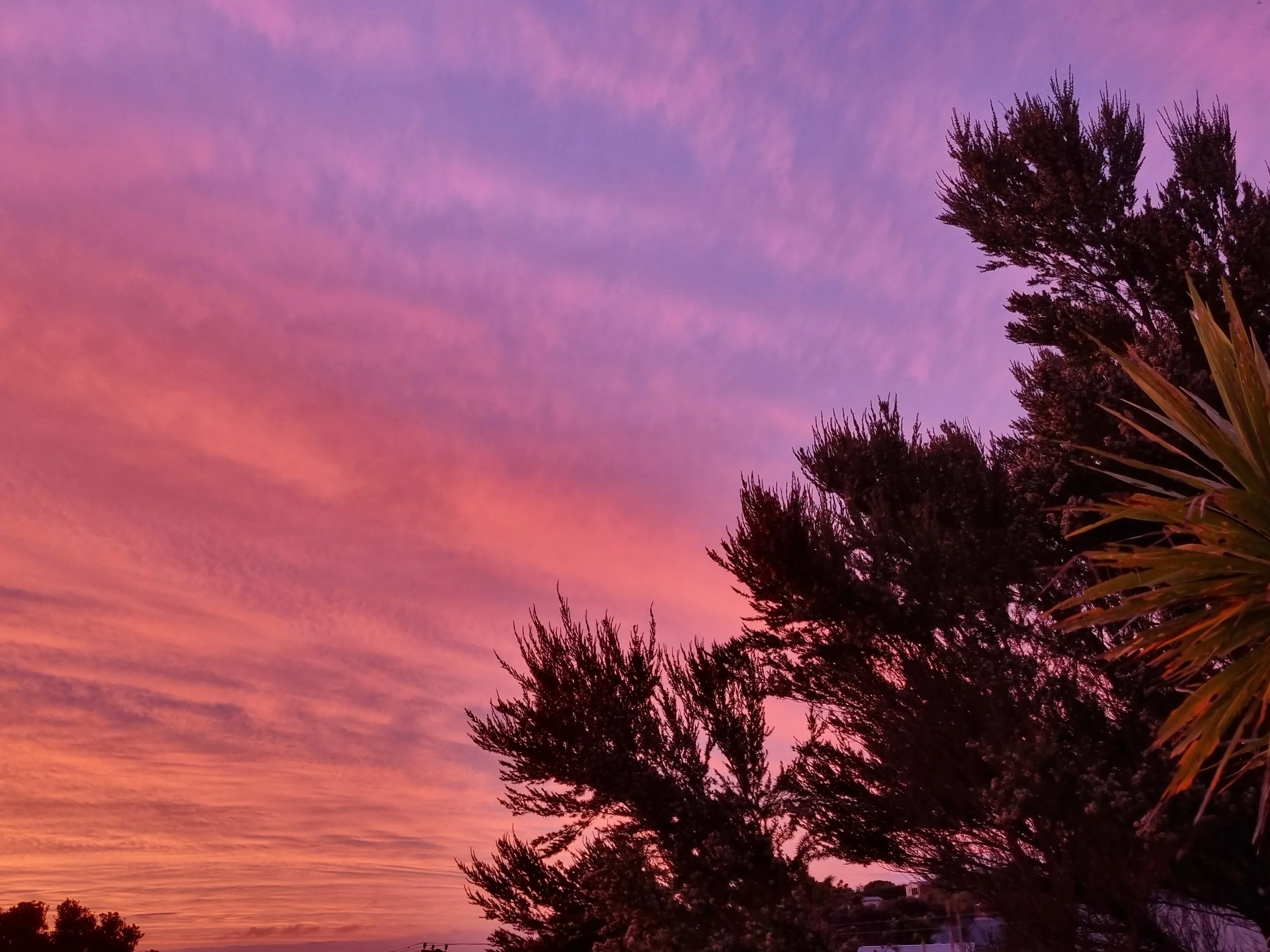 Christmas and other gifts