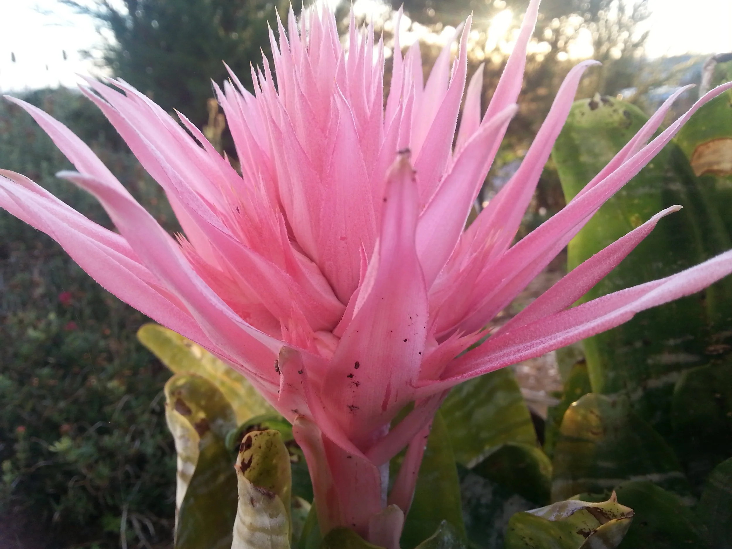 Sweltering temperatures