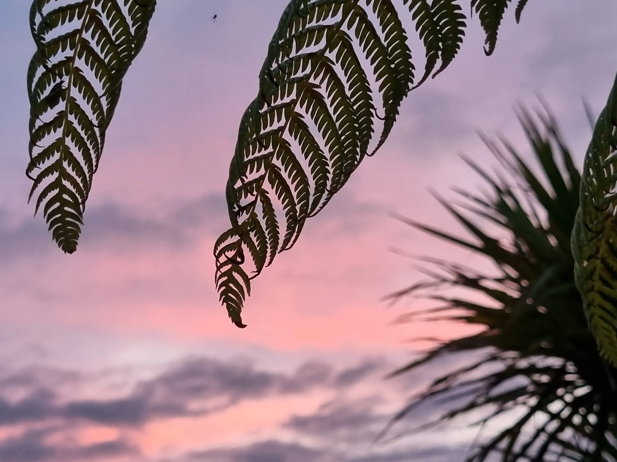 Crystals and KnicK Knacks