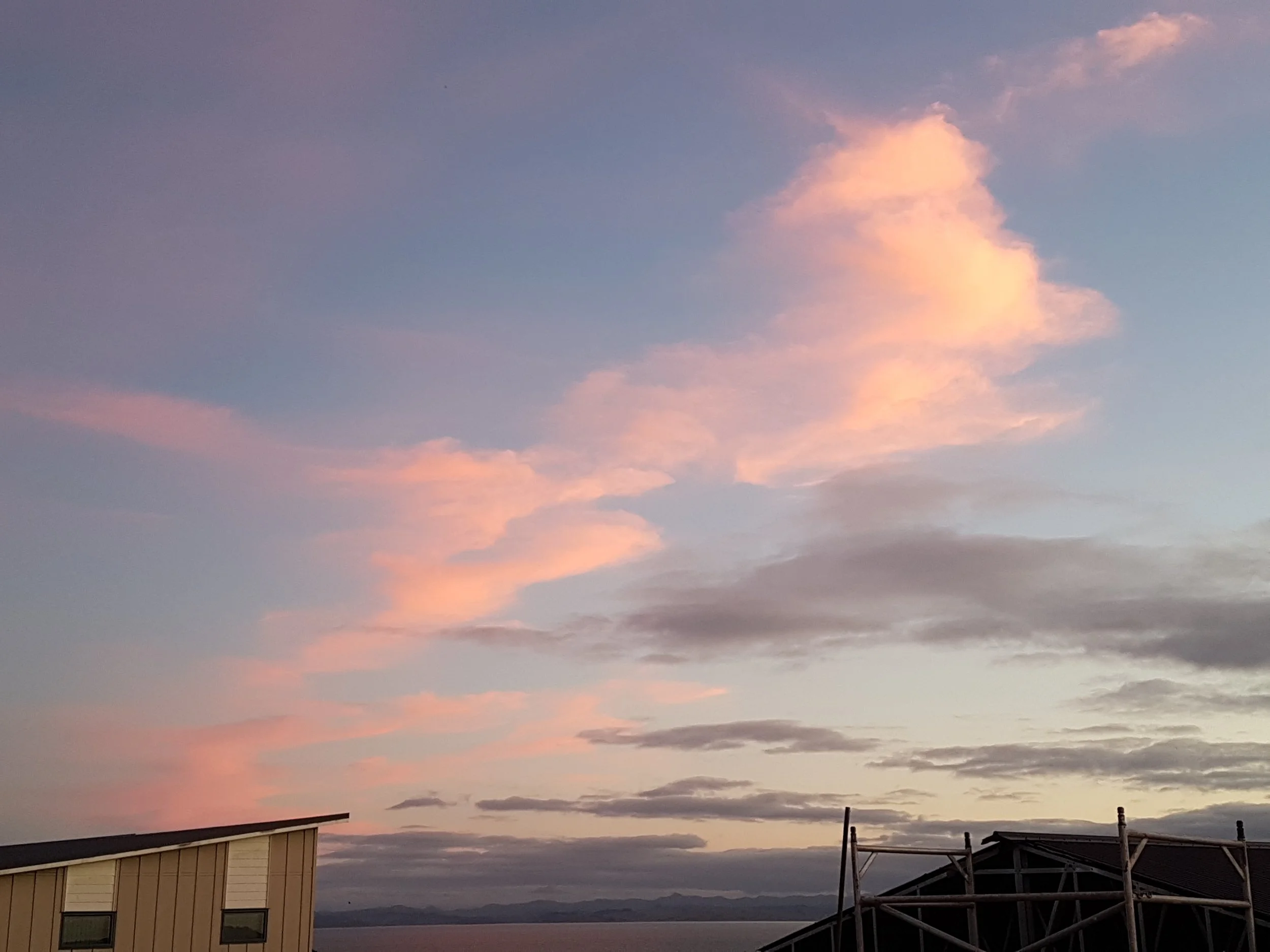 Book launch and busy-ness