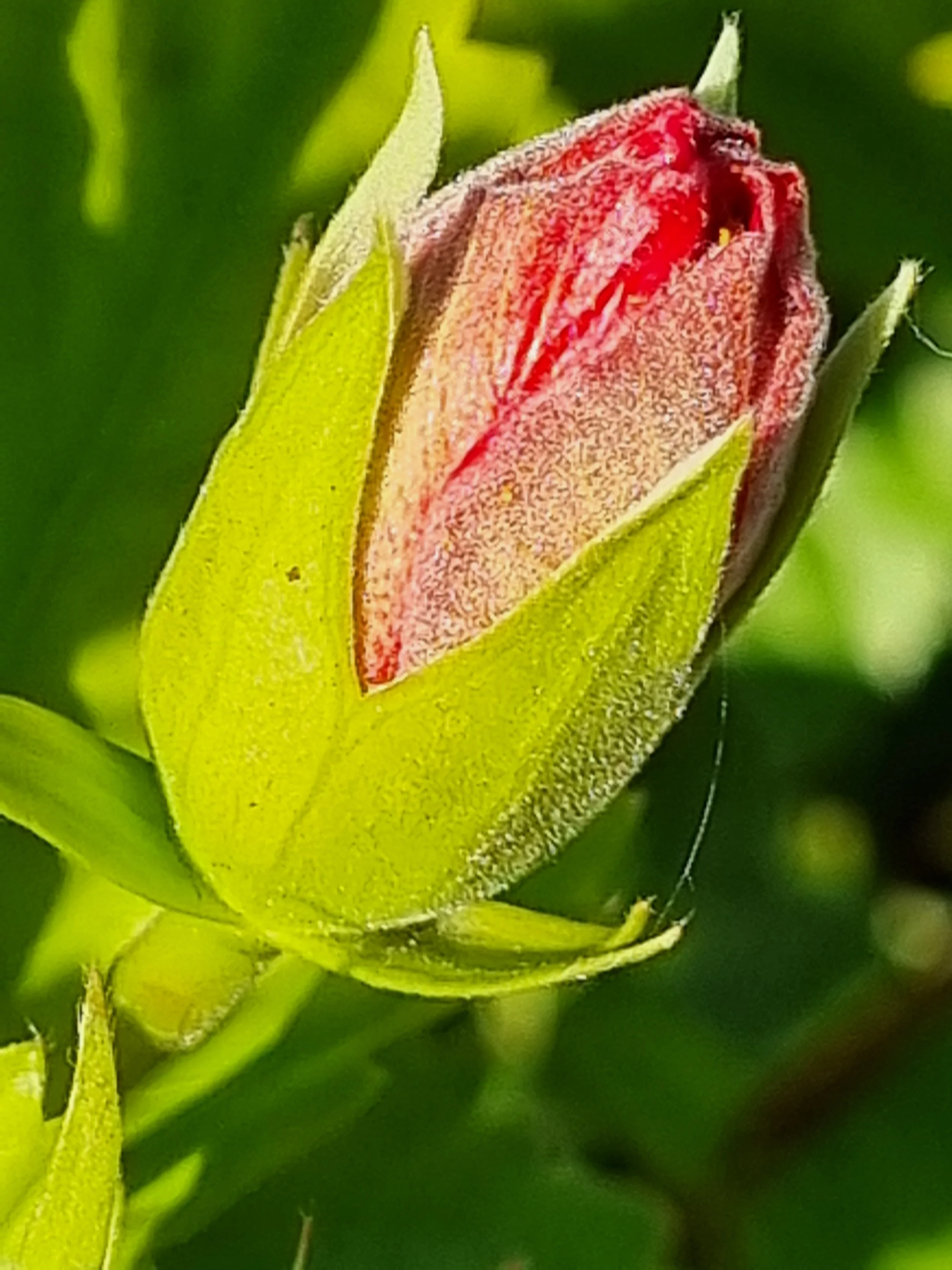 No swim and no drugs