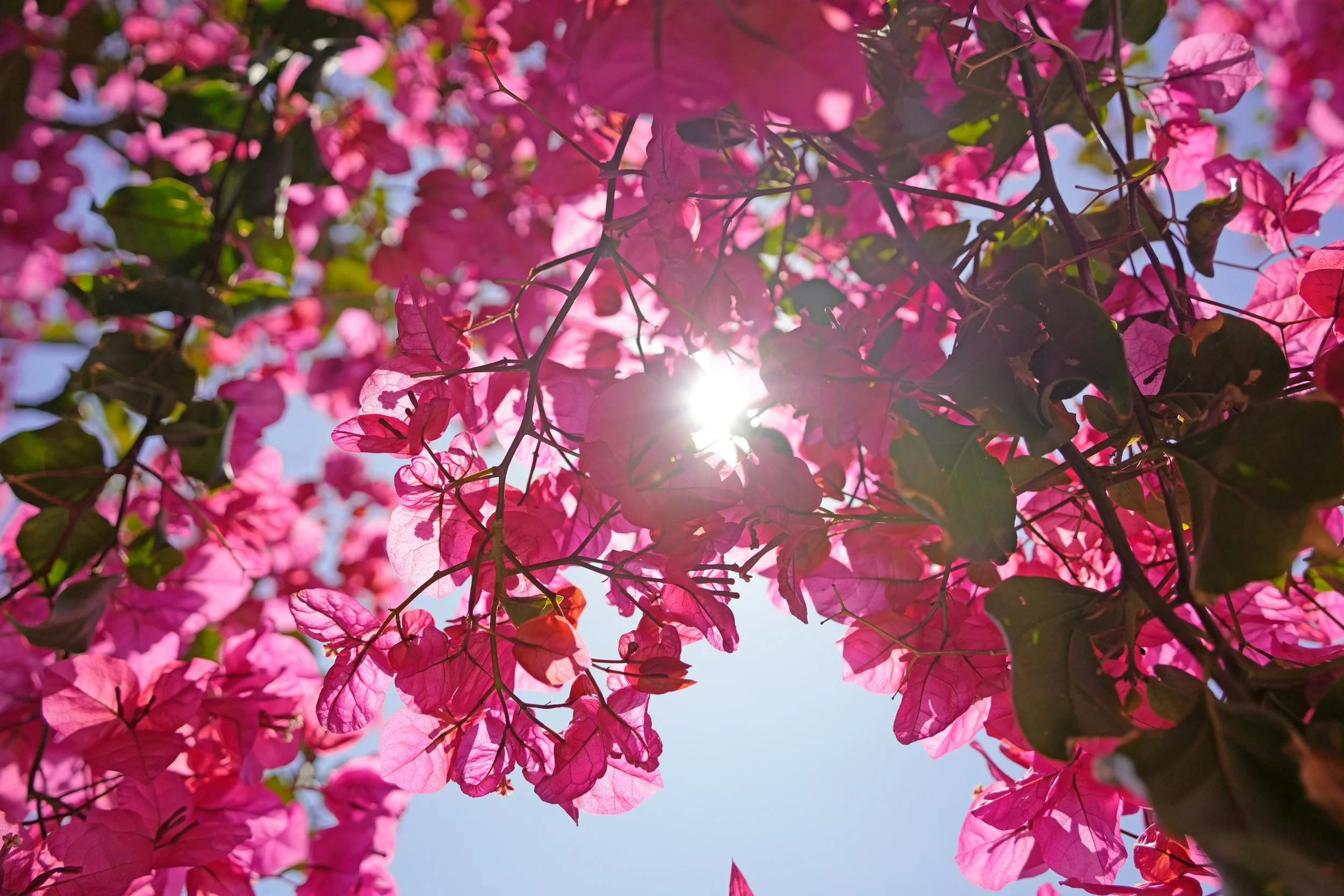 Colour your life - Gaia