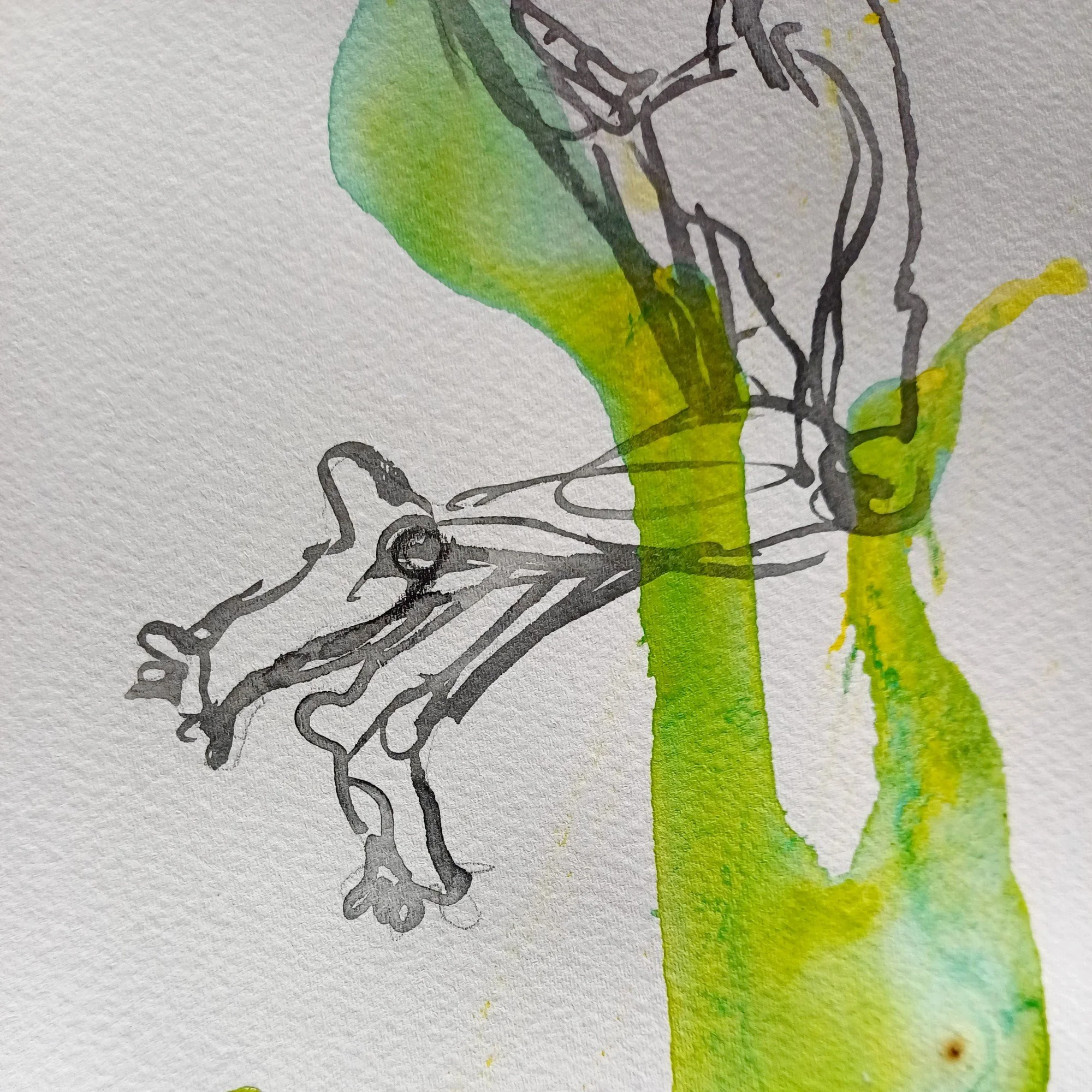 713-25 - FLUX D3 CAR W.jpg