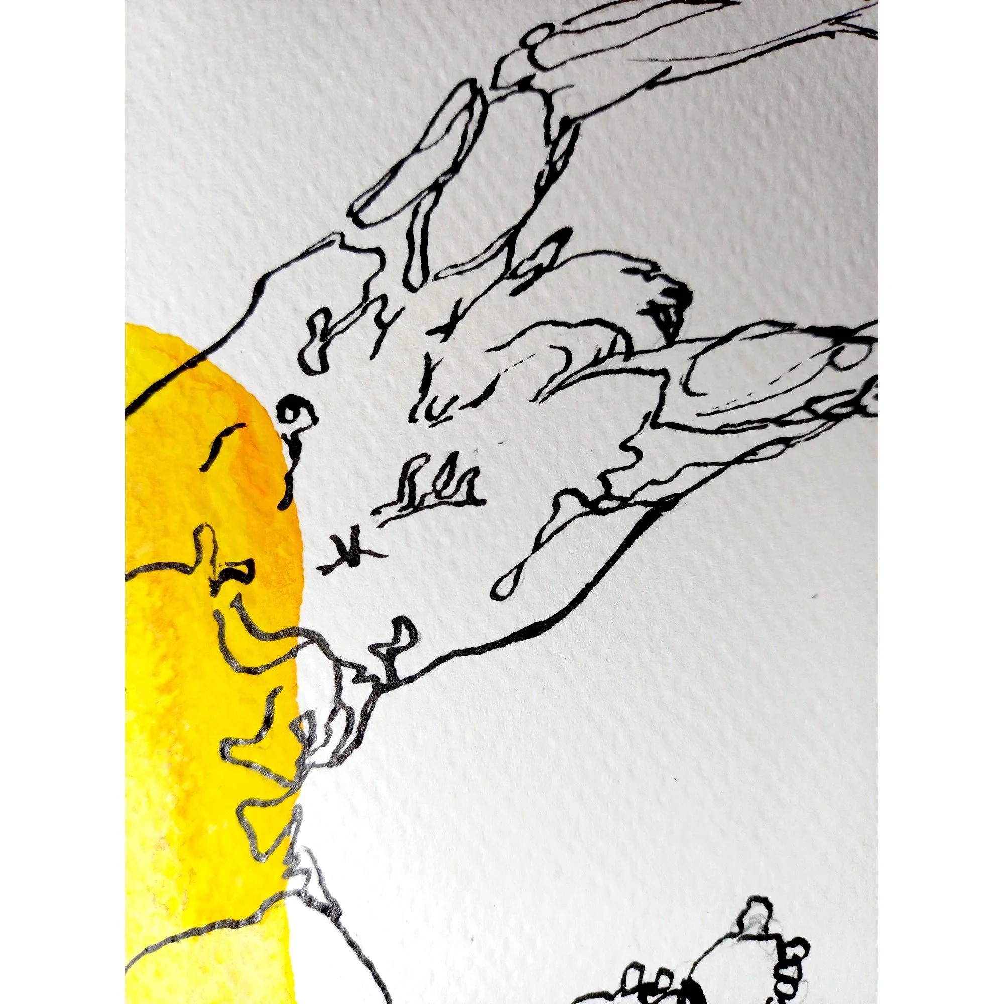 S FLUX 720-26 N11.DET2.jpg
