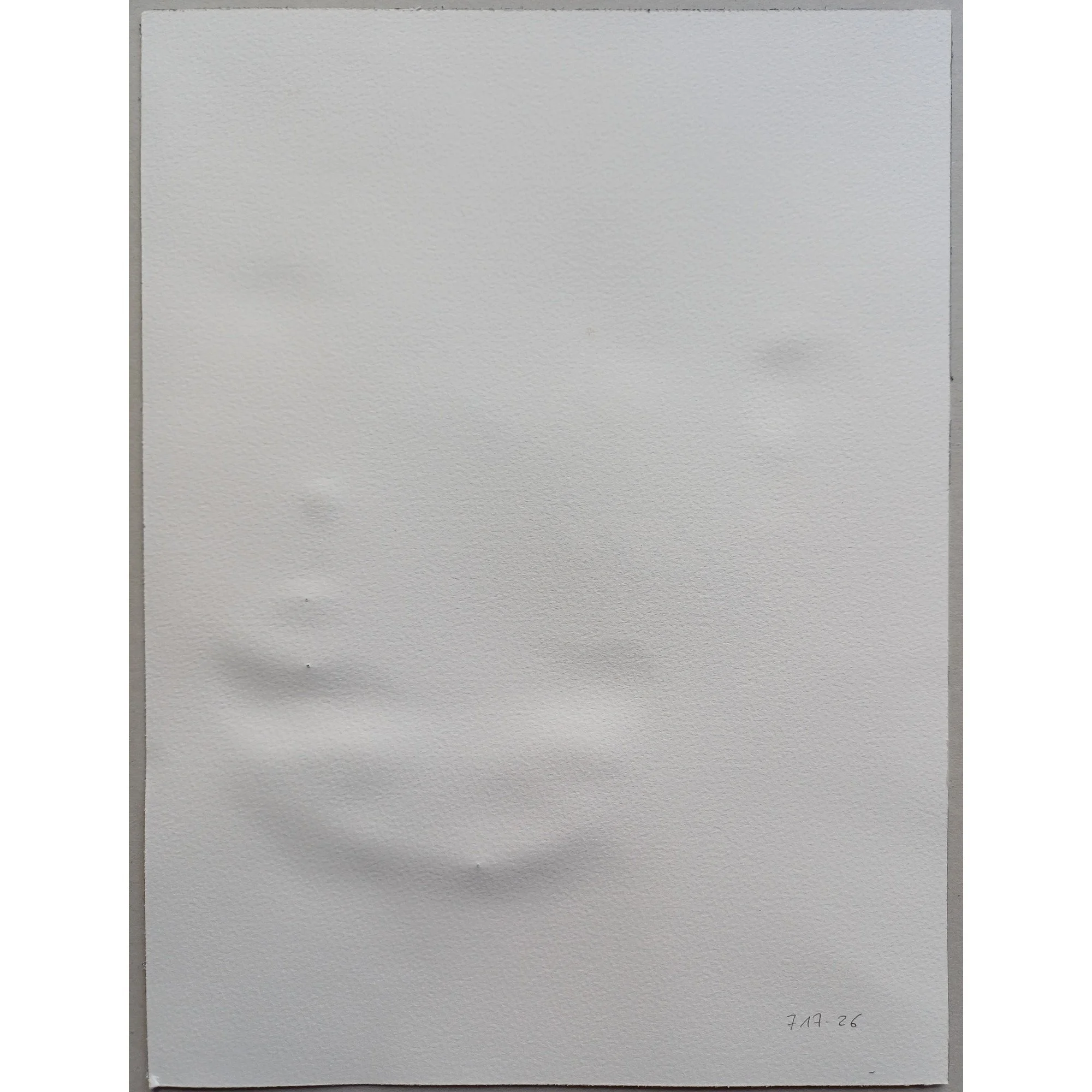 S 717-26 FLUX 8. DOS.jpg