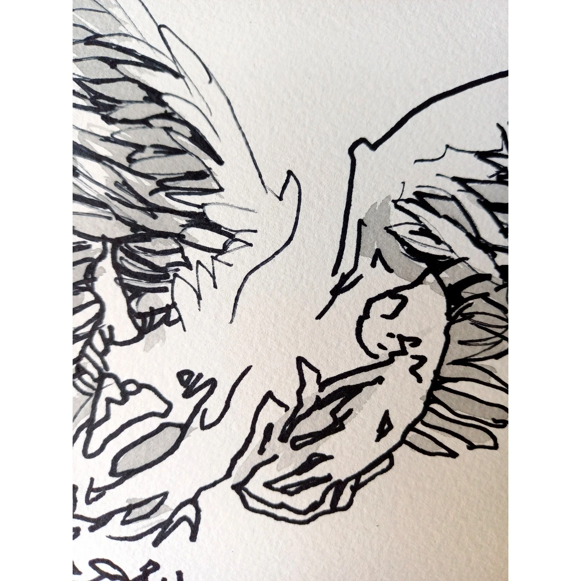 S 717-26 FLUX 8. D4.jpg