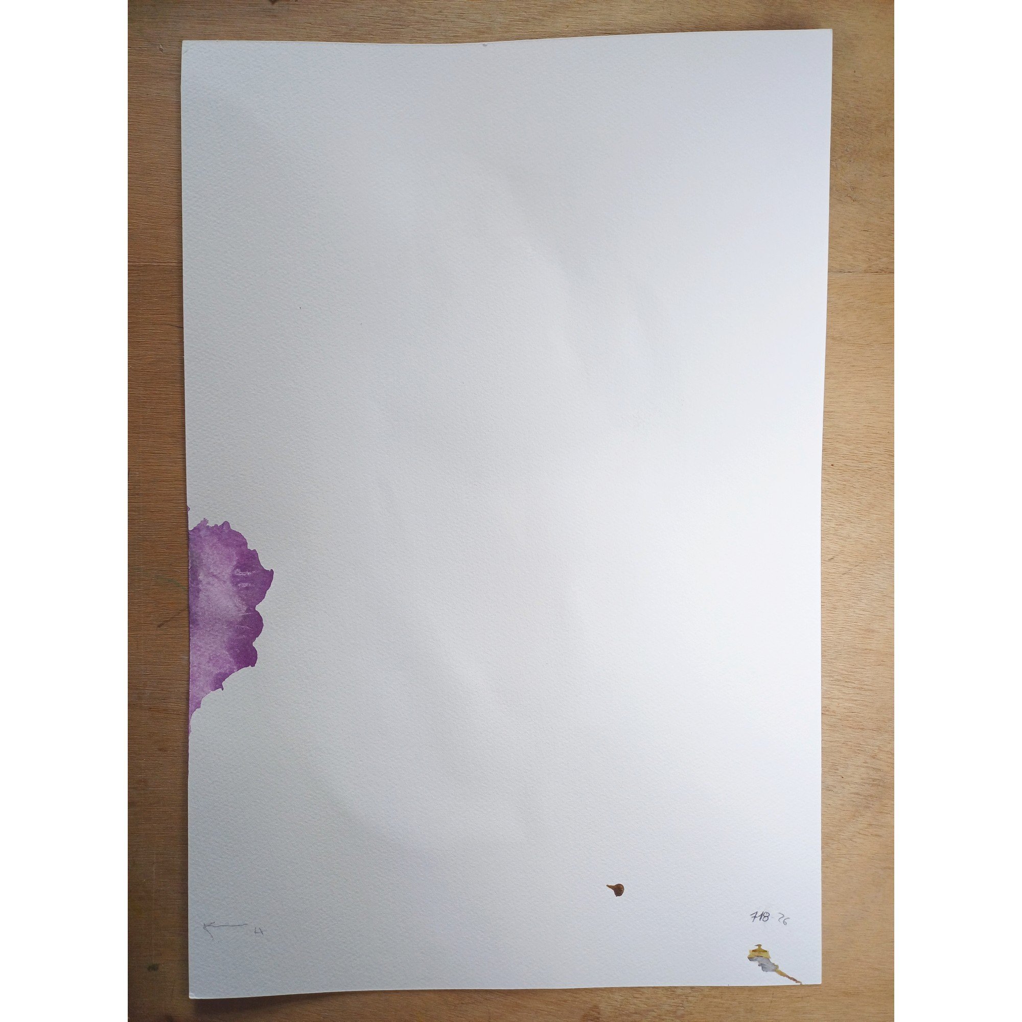 S 718-26 FLUX 9. D2.jpg