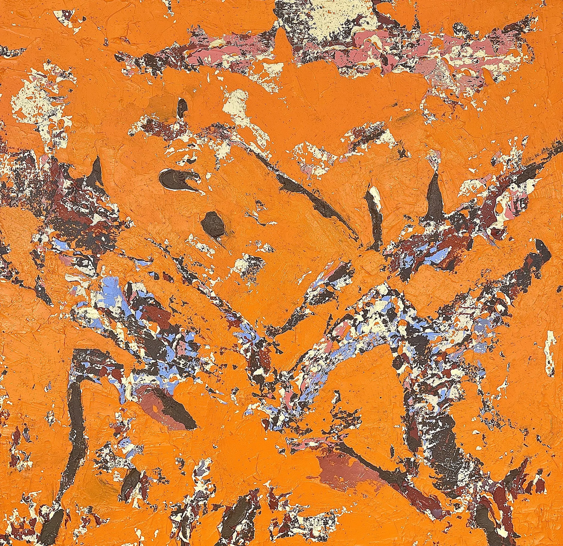 Tangerine Dreams  copy.jpg