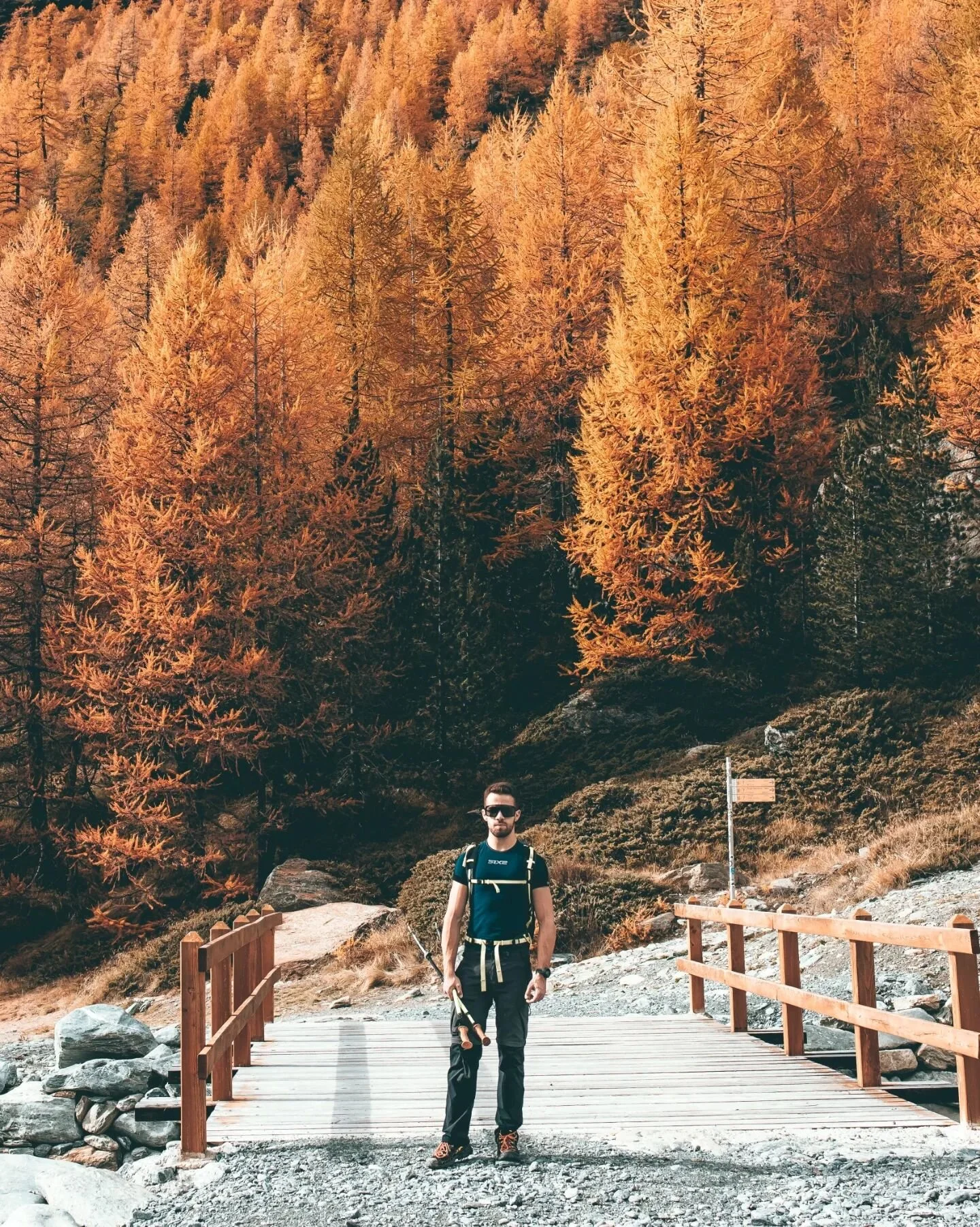 Today I'm 29 years old 🌄🏔
-
But I'm not lucky.. let's start this magic quarantine 😅
-
#mountainlovers #alpinism #foliage #valledaosta #outdoorphotography