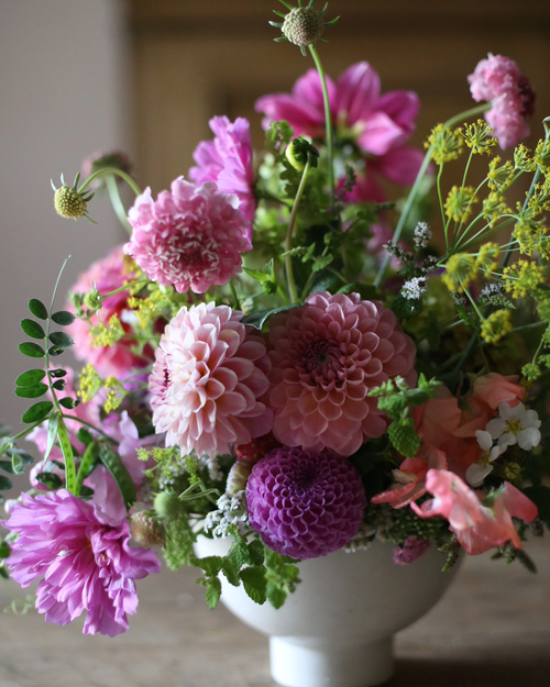 IMG_7664.webp