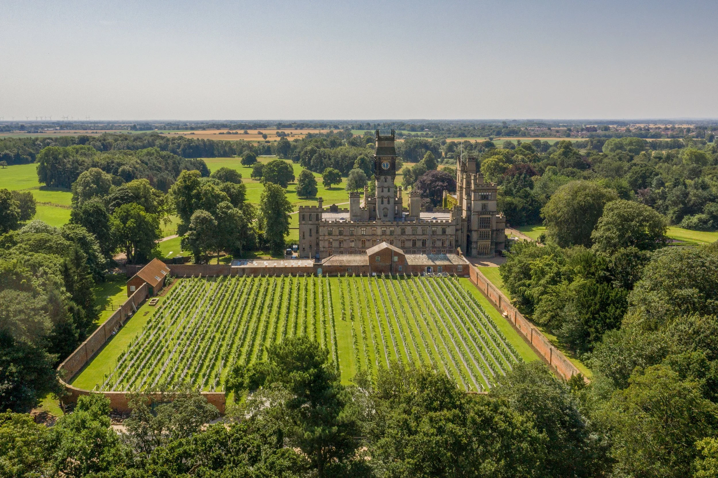 Under the Vine: A Carlton Banquet