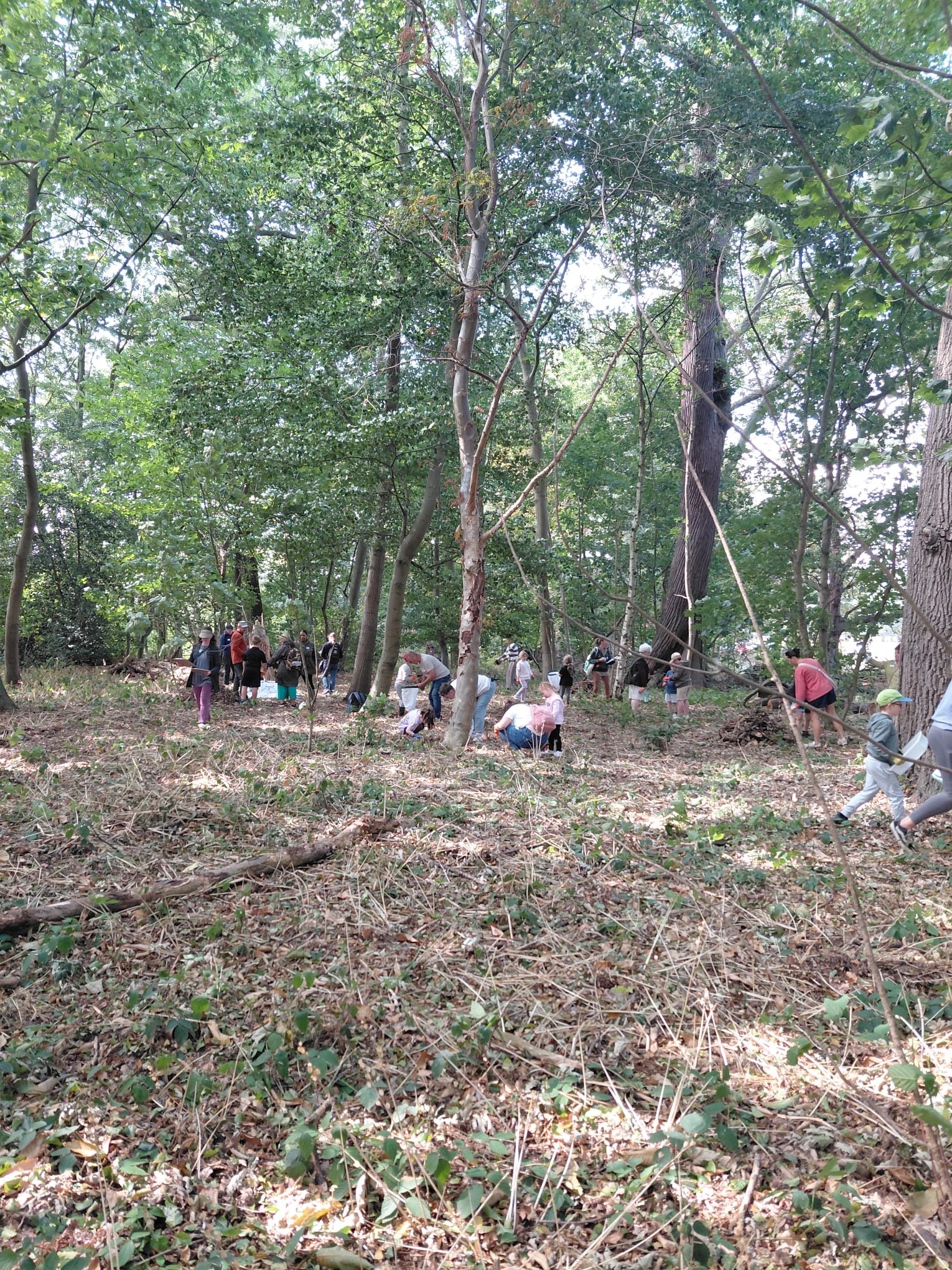 BUG HUNTING, HABITAT CREATION &amp; SMORES!