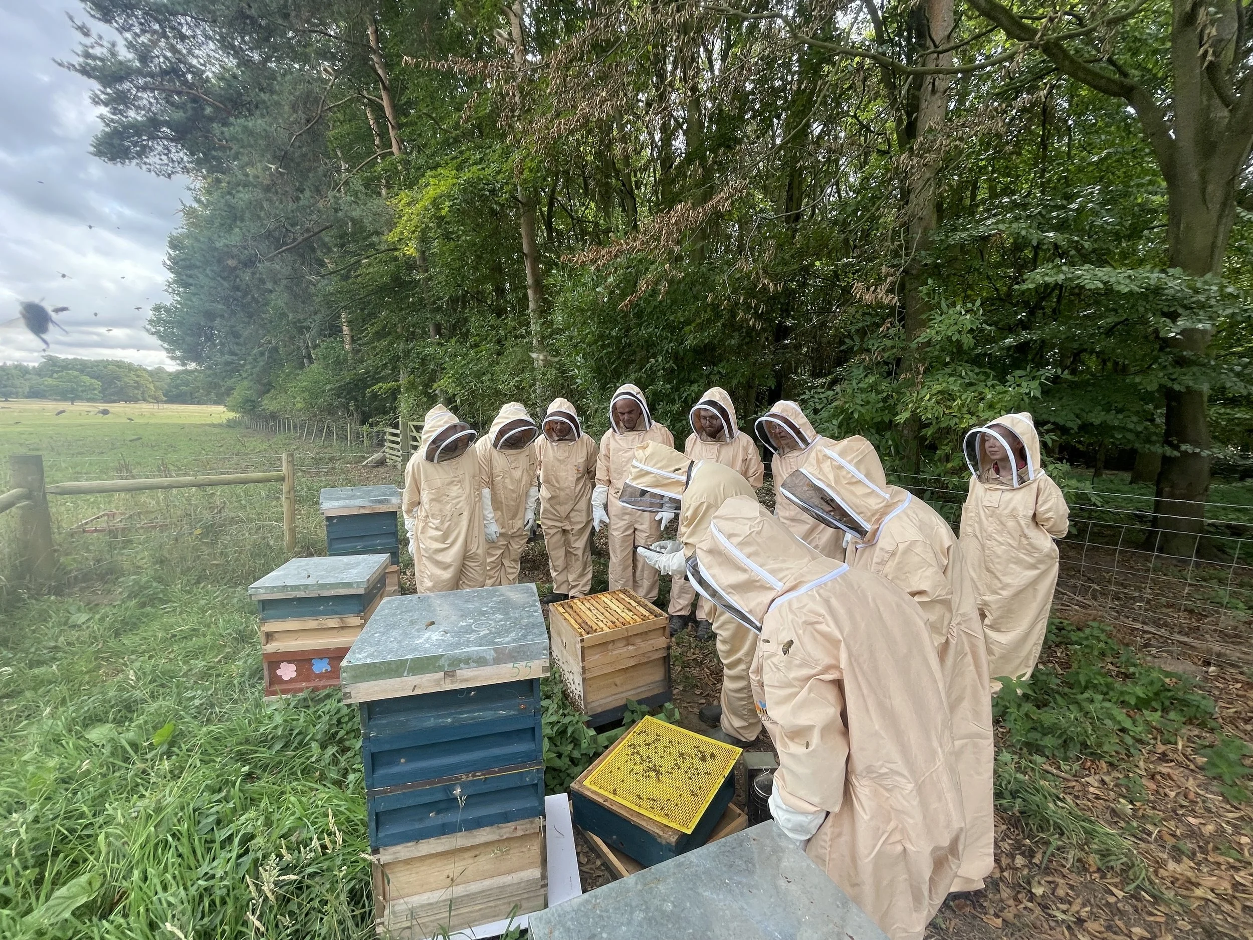 Beekeeping 2025 1.jpeg