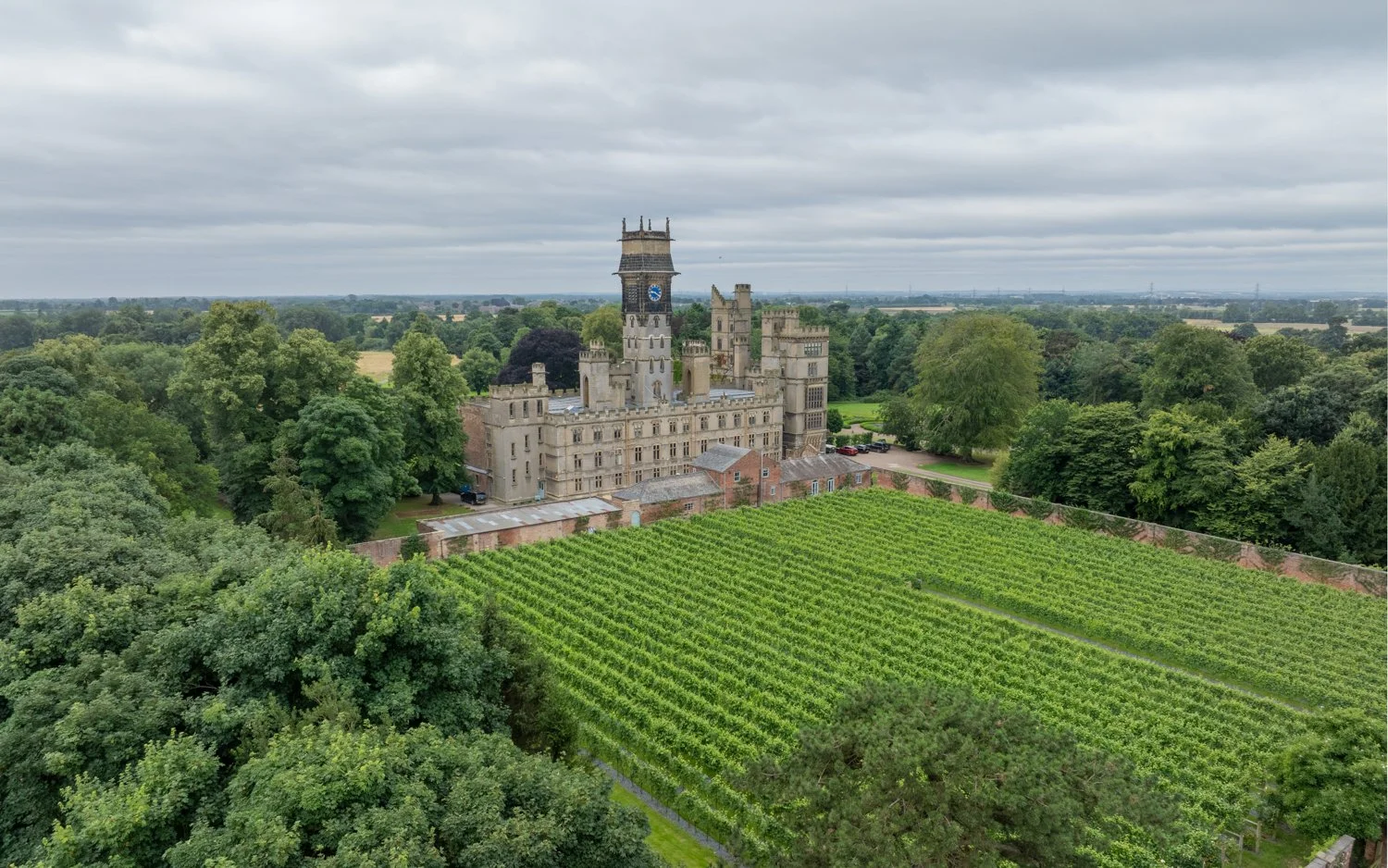 Vineyard Wedding Showcase with Folletti Fleurs