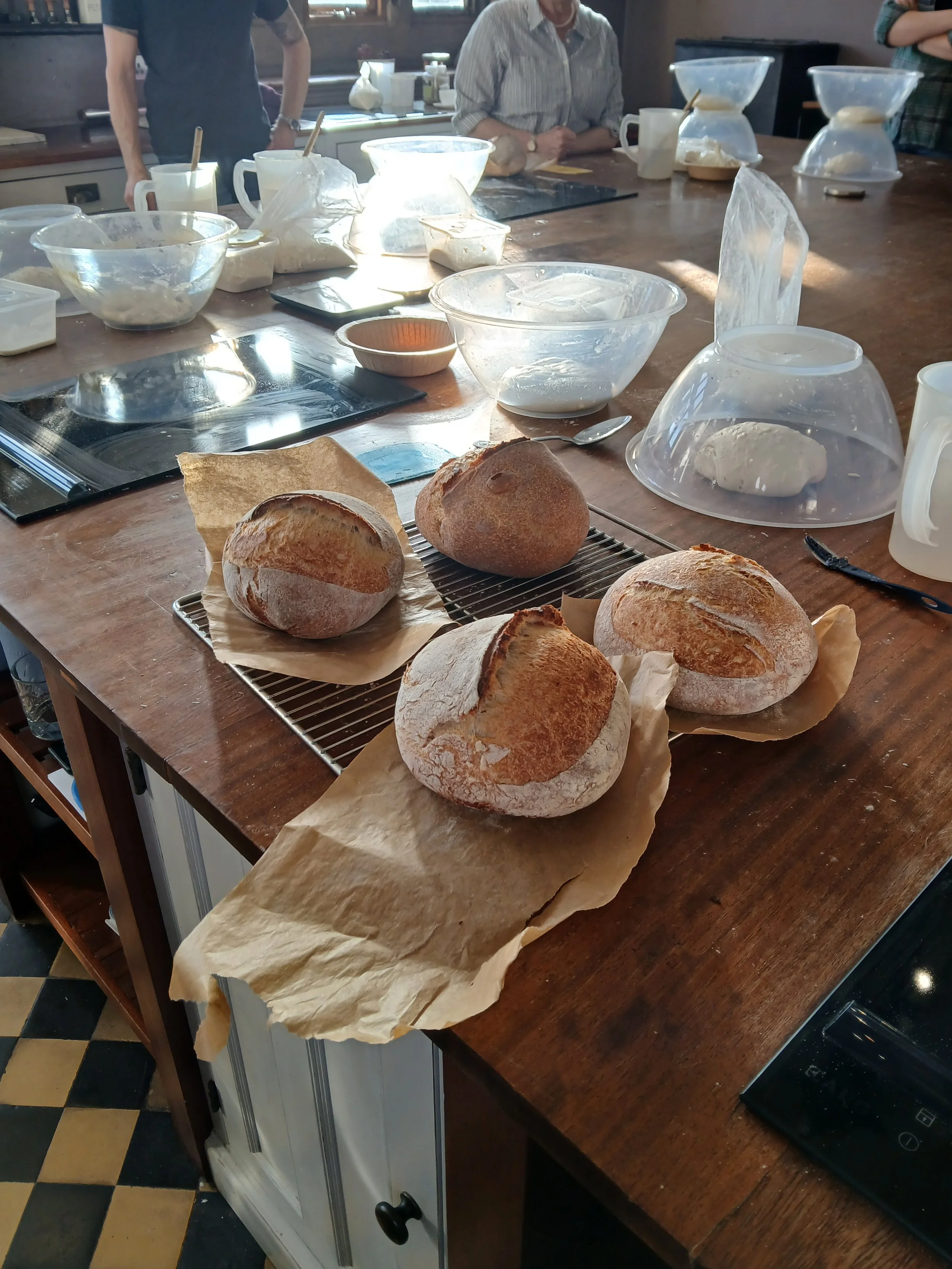 Sourdough Workshop - Loafs.jpg