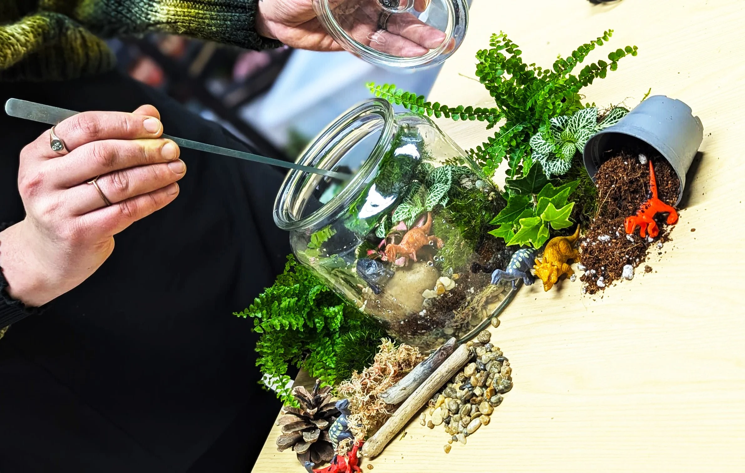 Family Terrarium Workshop 3.jpg