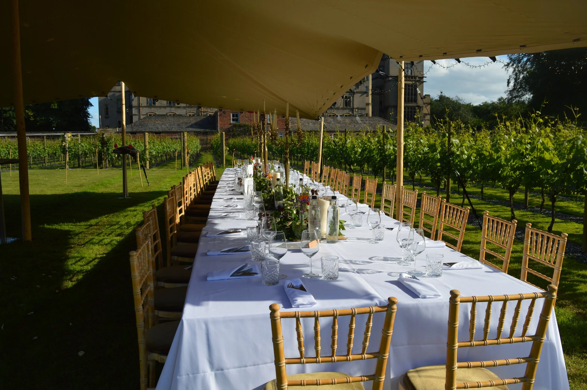 Under the Vines: A Carlton Banquet