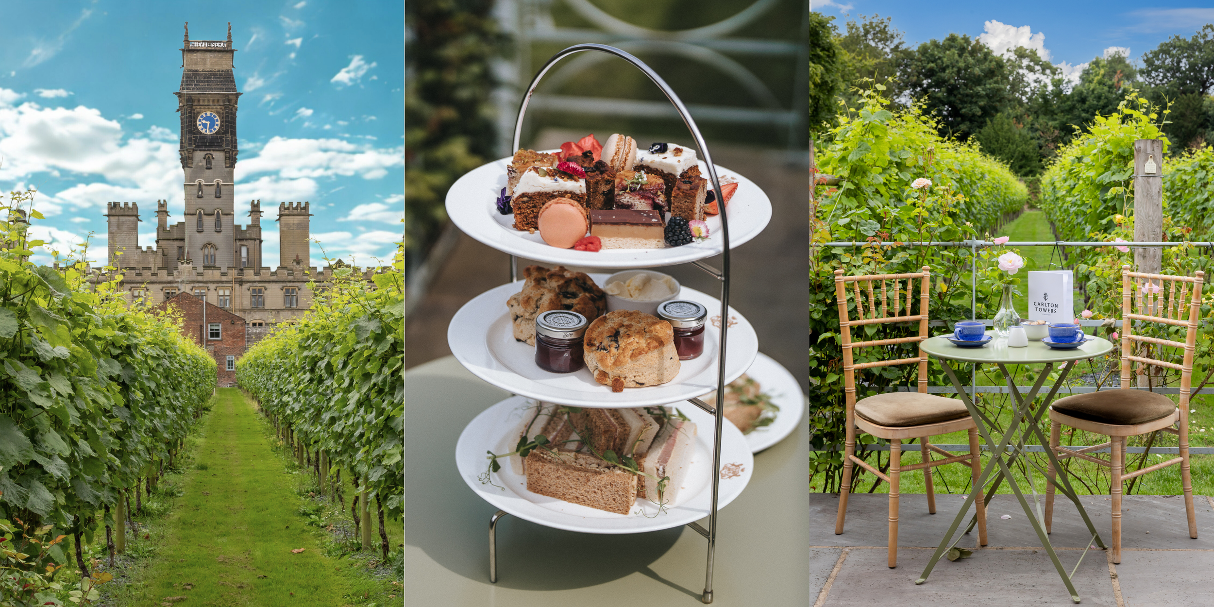 Website Banner - Events 2025 (1).png