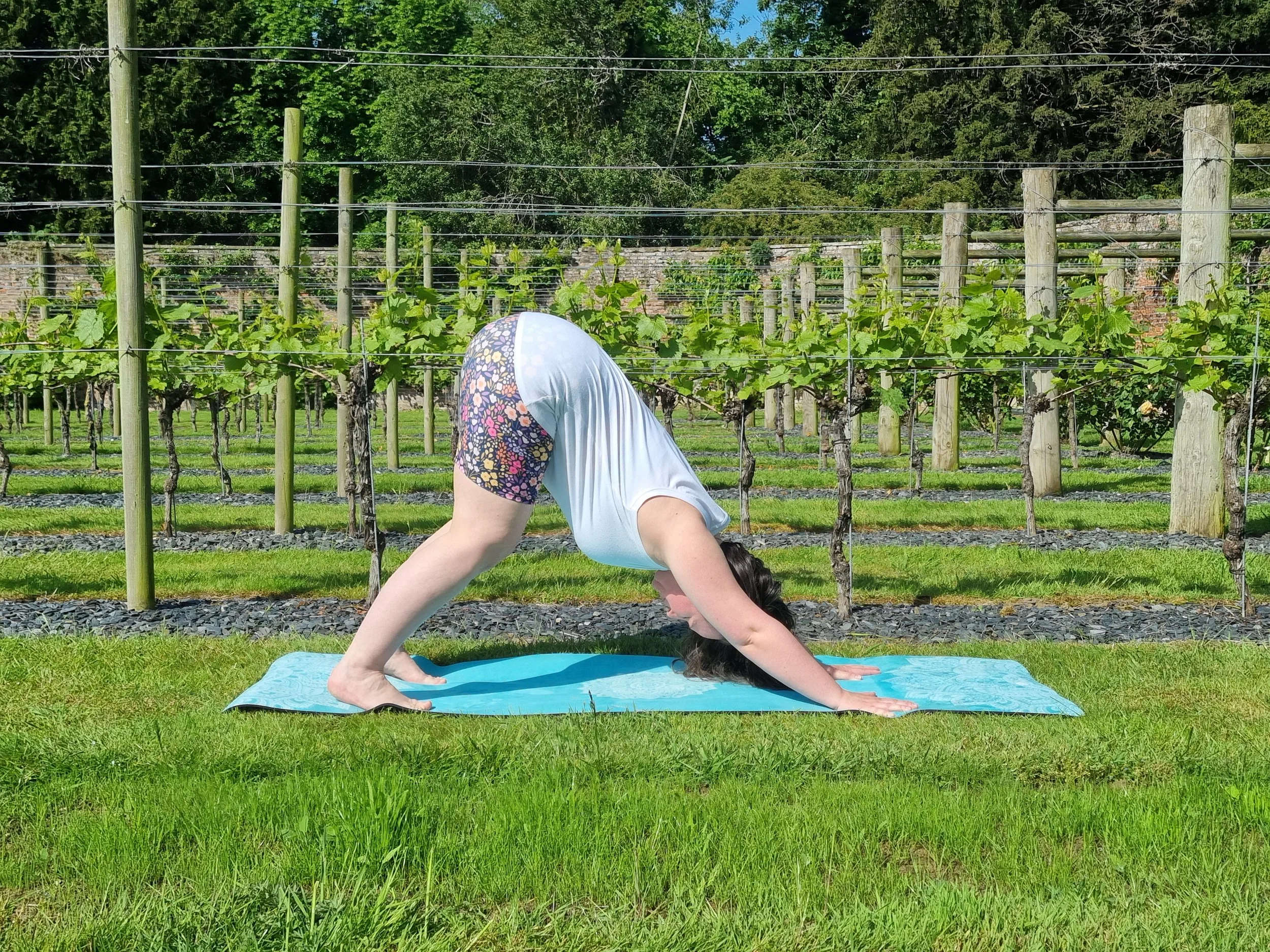 Vineyard Yoga Natalie 5.jpg