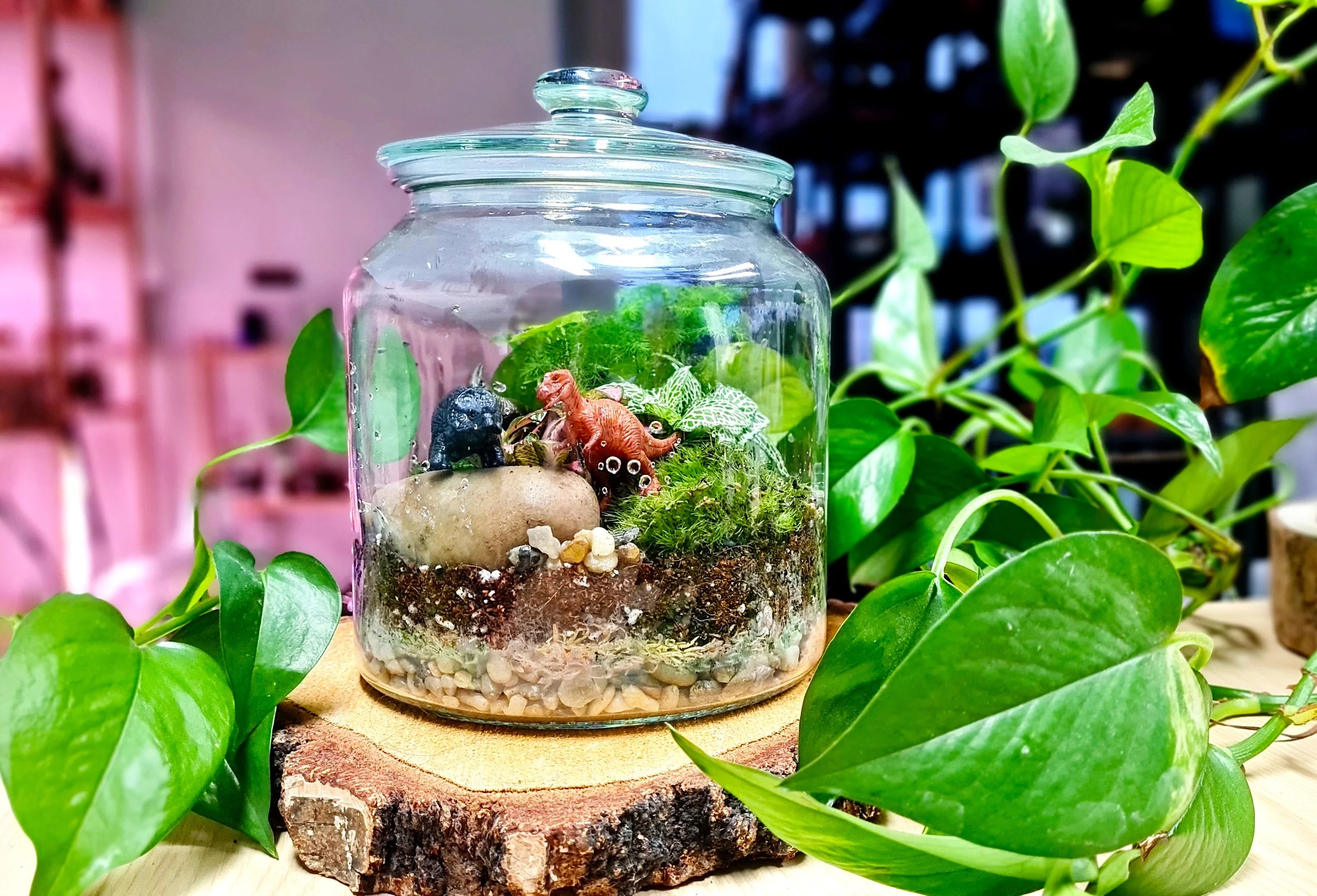 Family Terrarium Workshop 1.jpg