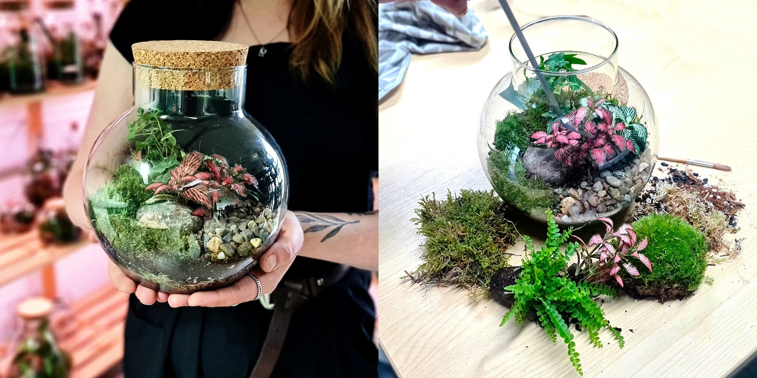 Terrarium Workshop Banner.jpg