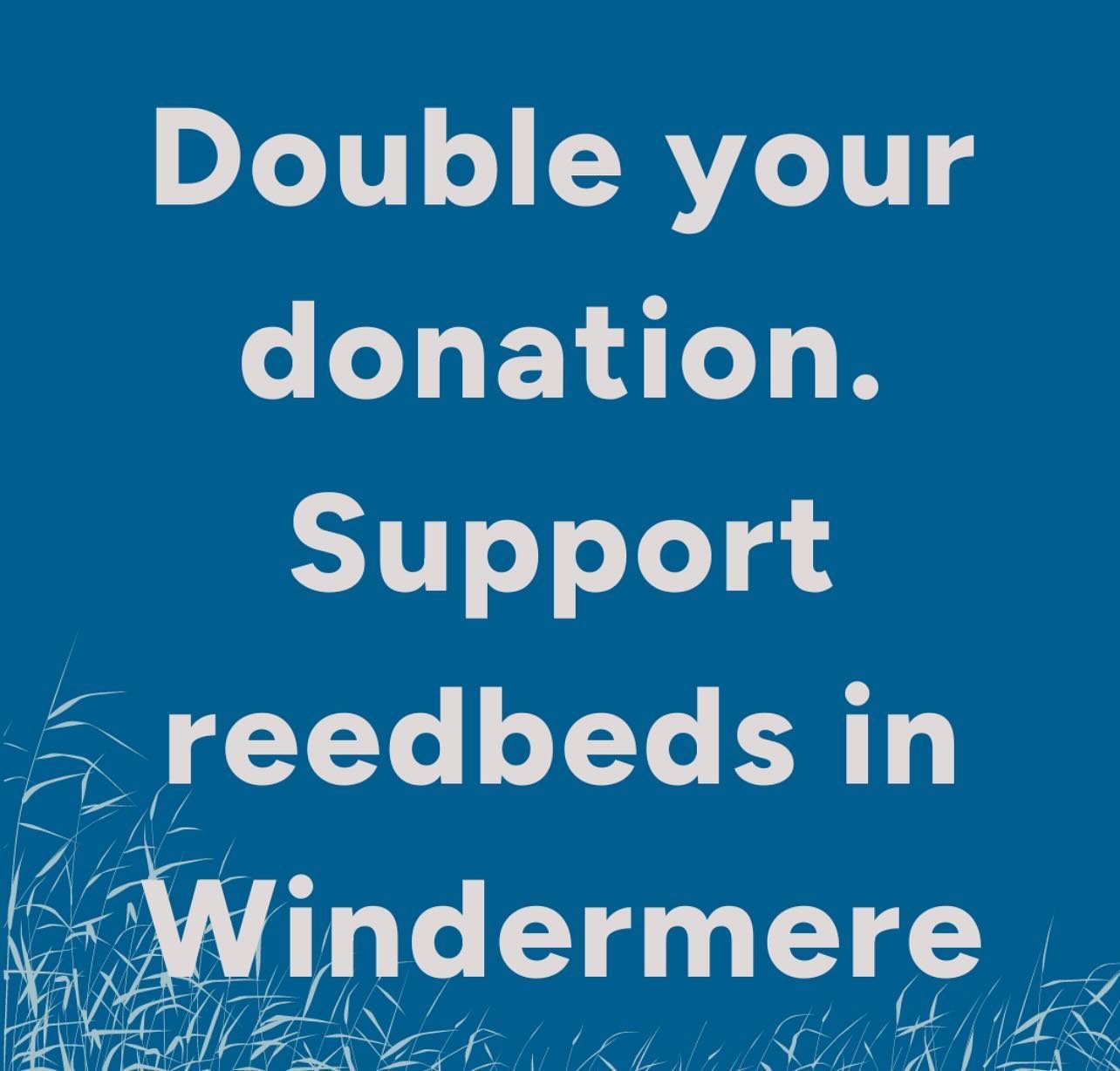 🌱Free Spirit Escapes are supporting Reedbed Revival in Windermere!

🌱Reedbeds are amazing - they support lake health by boosting biodiversity, creating habitats and supporting cleaner water. 

🌱Can you help?! All donations through the Big Green Gi