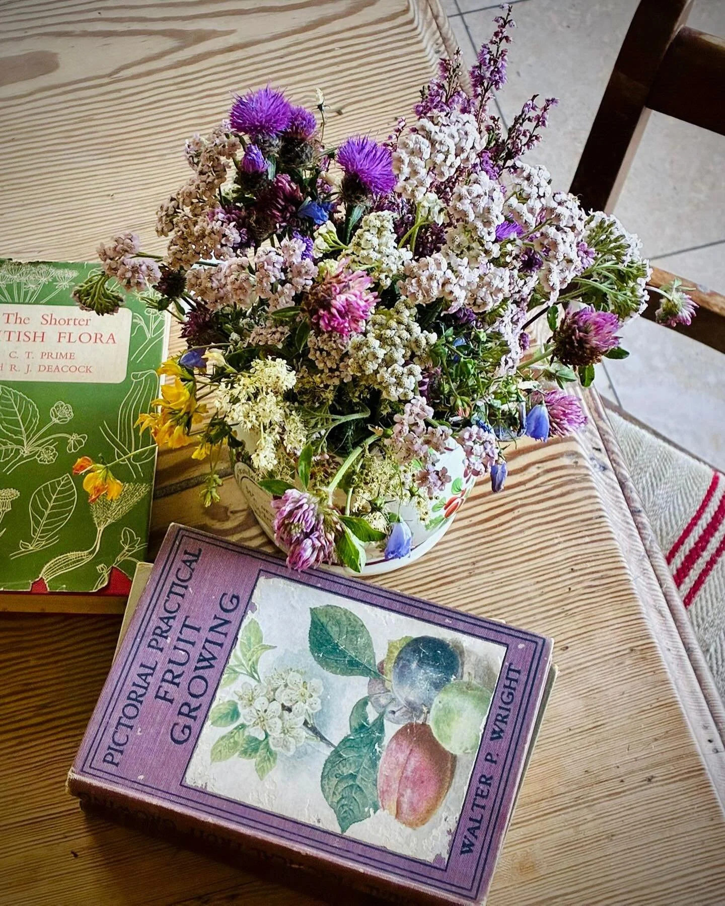 Been gifted with wild flower wisdom and vintage books from a beautiful friend. Summer High 🌱