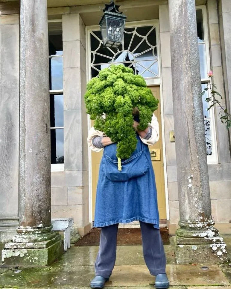 Greens. Very, very good for you. 
#homegrownveg 🟢