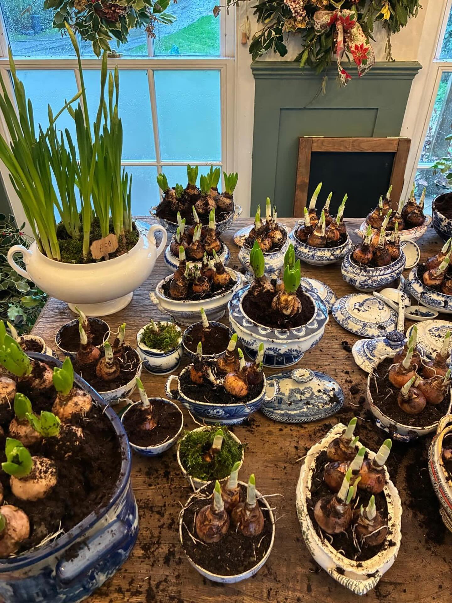 Here&rsquo;s an idea for a Christmas treat&hellip;
@wink.colville&rsquo;s beautiful vintage vessels are packed with spring bulbs. You have until Sunday 
14th December to choose a favourite at her pop-up: 14 Market Place, Woodstock, Oxfordshire. Or be