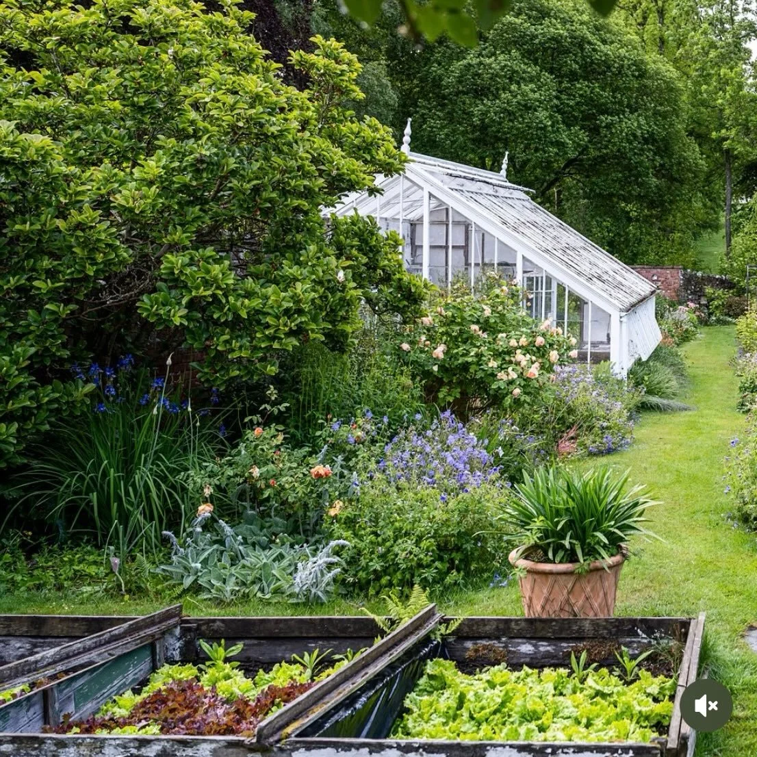 Thrilled to confirm that for the first time, the Walled Garden at Glenburn is part of the 2026 @scotlandgardensscheme.
We will open 2pm - 5pm on Wednesday 20th May, Sunday 19th July &amp; Monday 31st August. 
Entry will cost &pound;5.00. And every pe