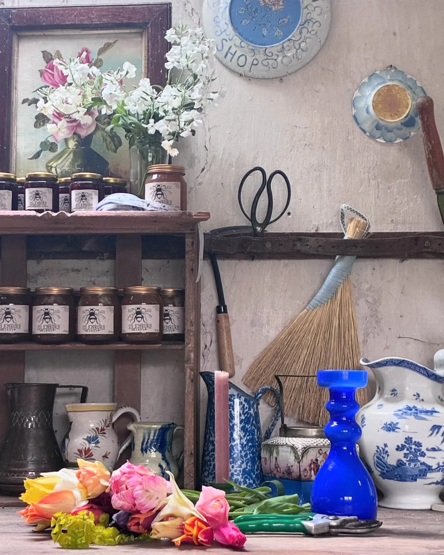 Vibrant, colourful and always reaching towards the light &hellip;tulips you are might fine, first meconopsis 🎨